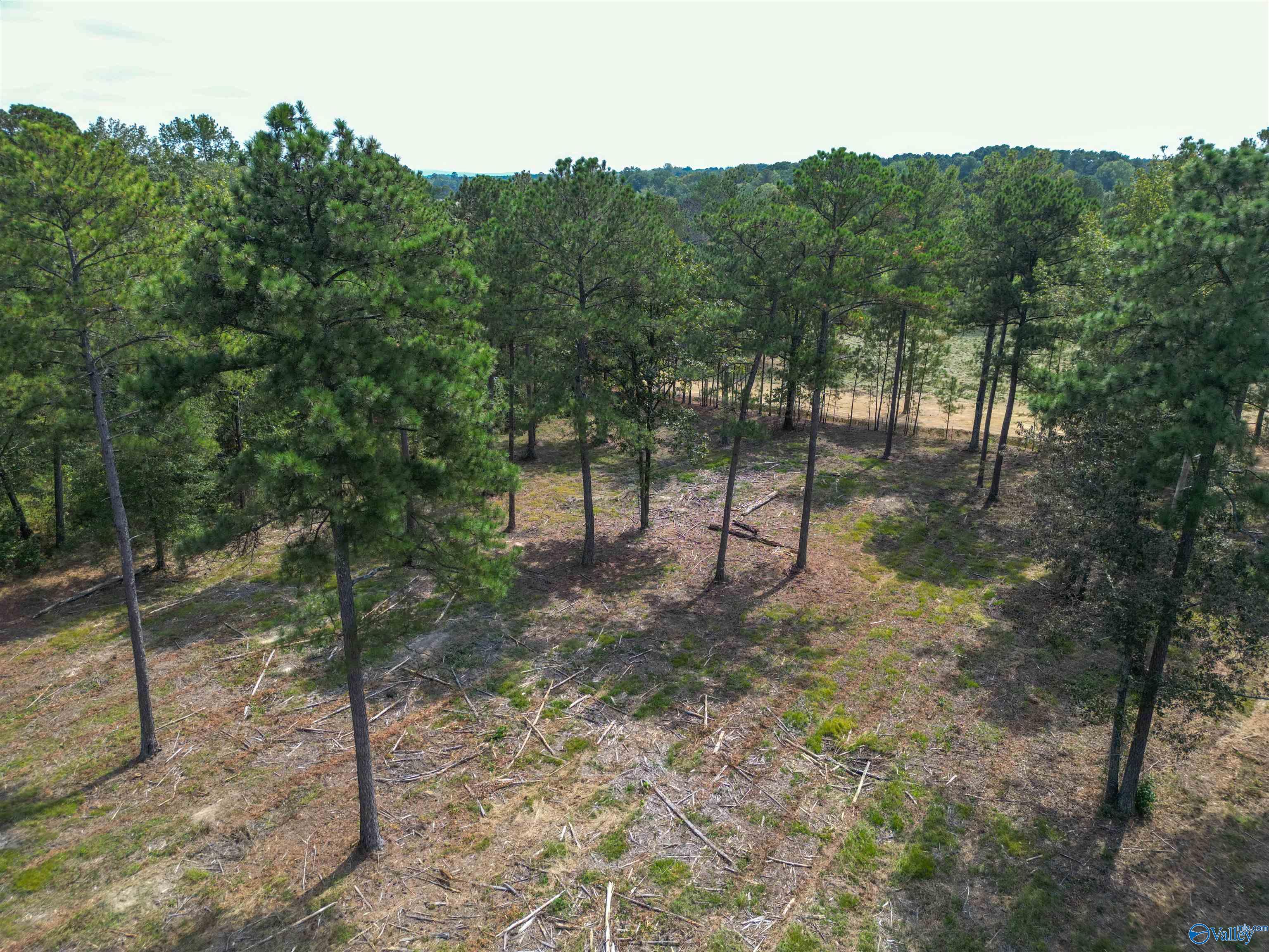 7 A County Road 497