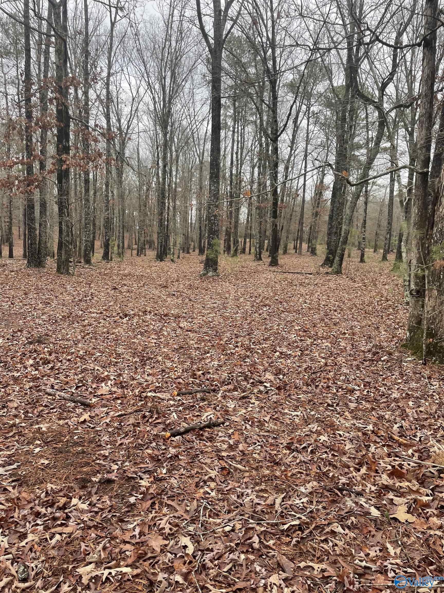 7 A County Road 497