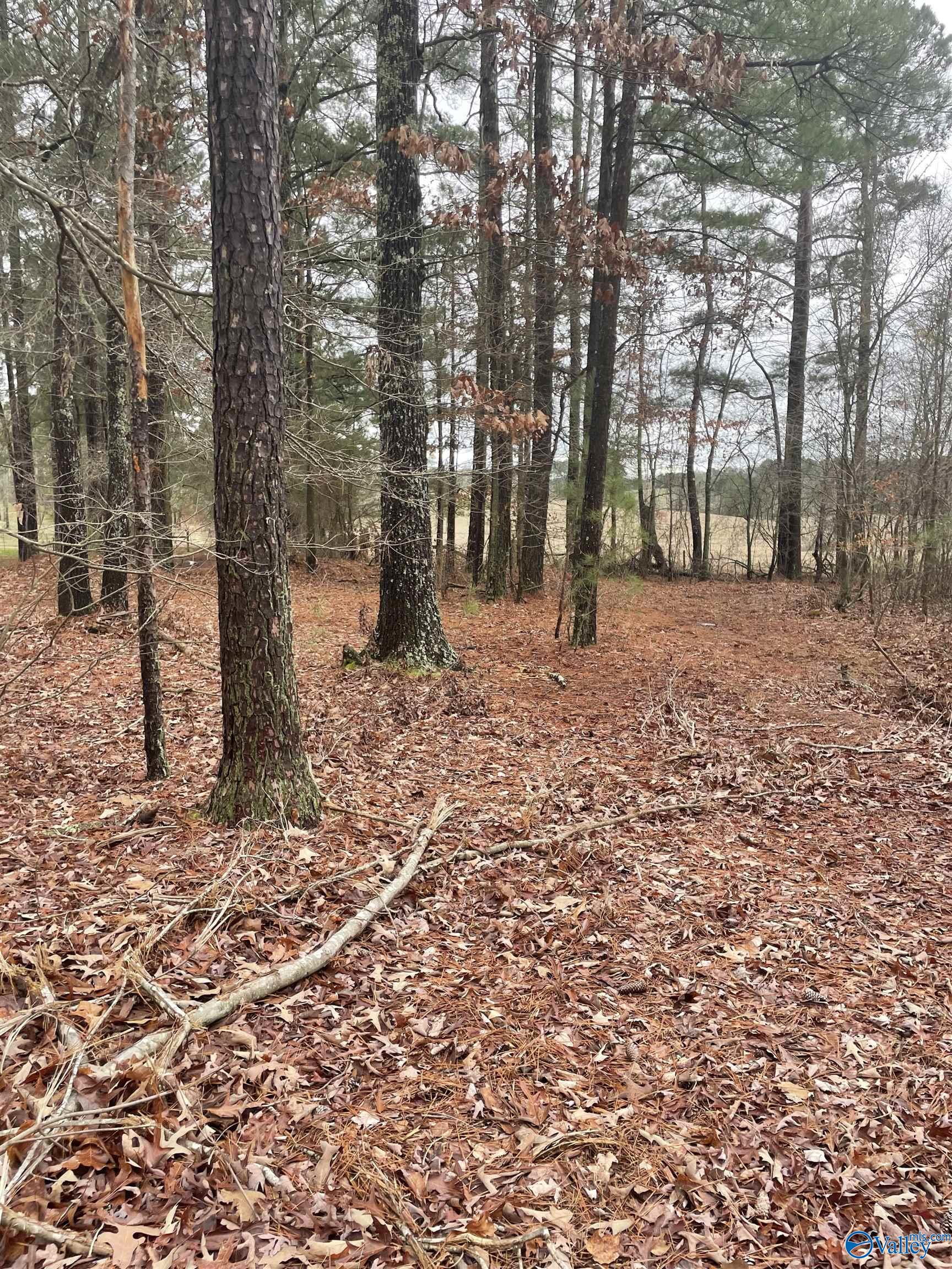 7 A County Road 497