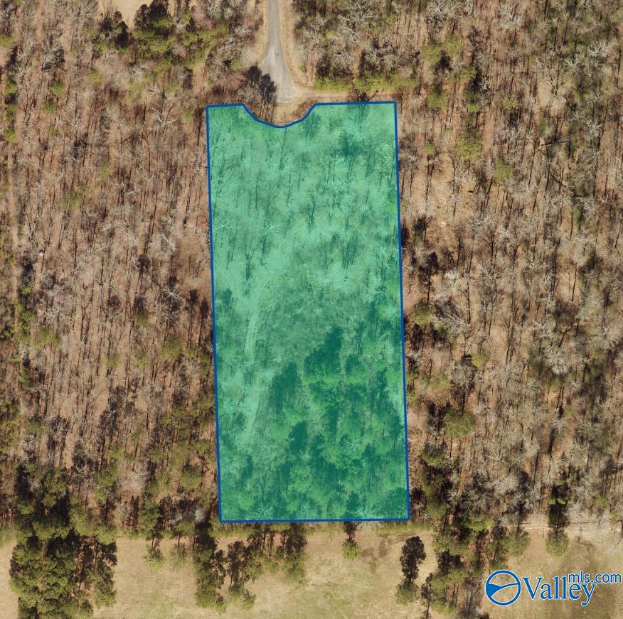 7 A County Road 497