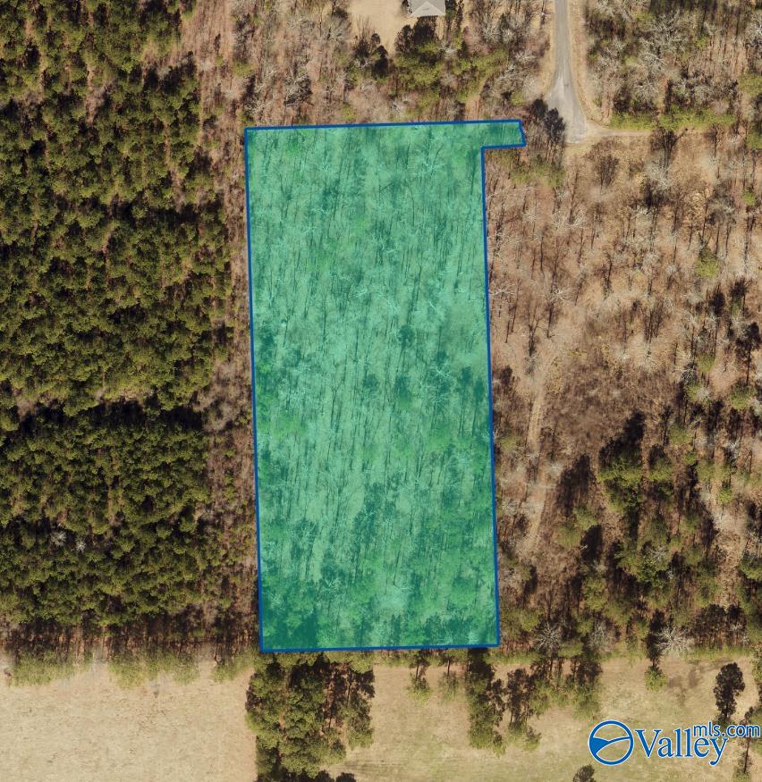 7 A County Road 497