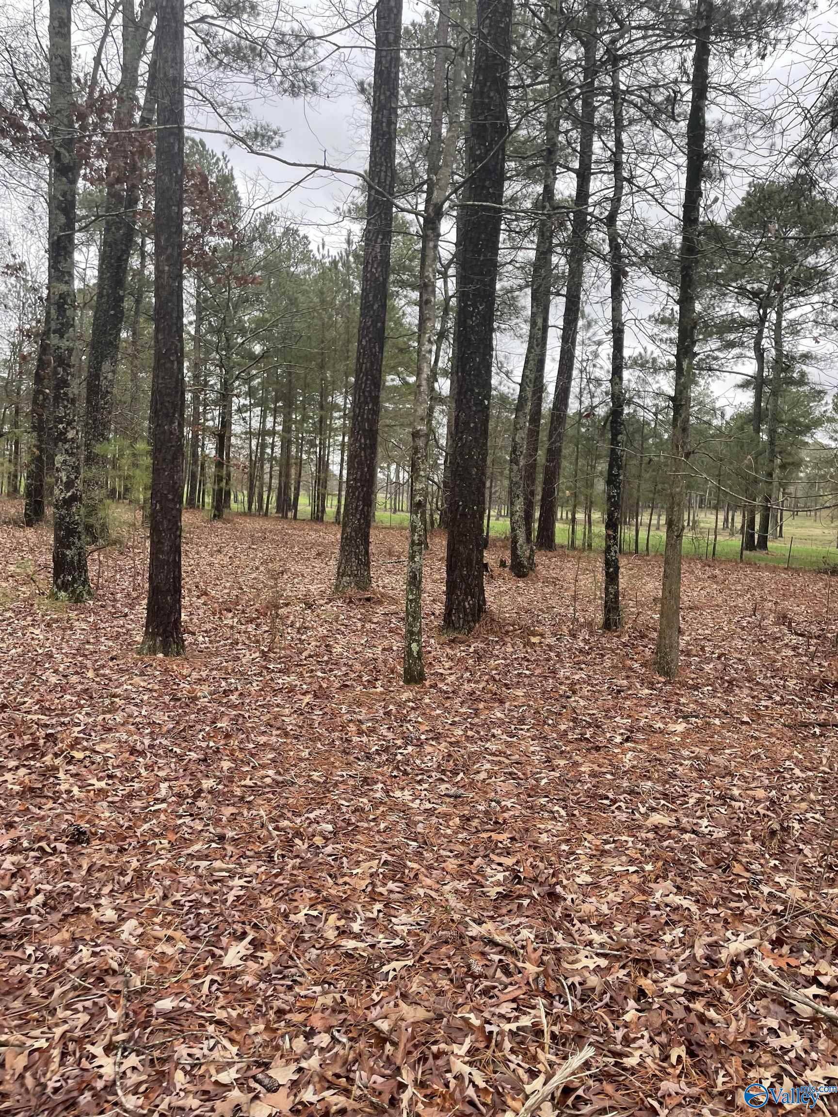 7 A County Road 497