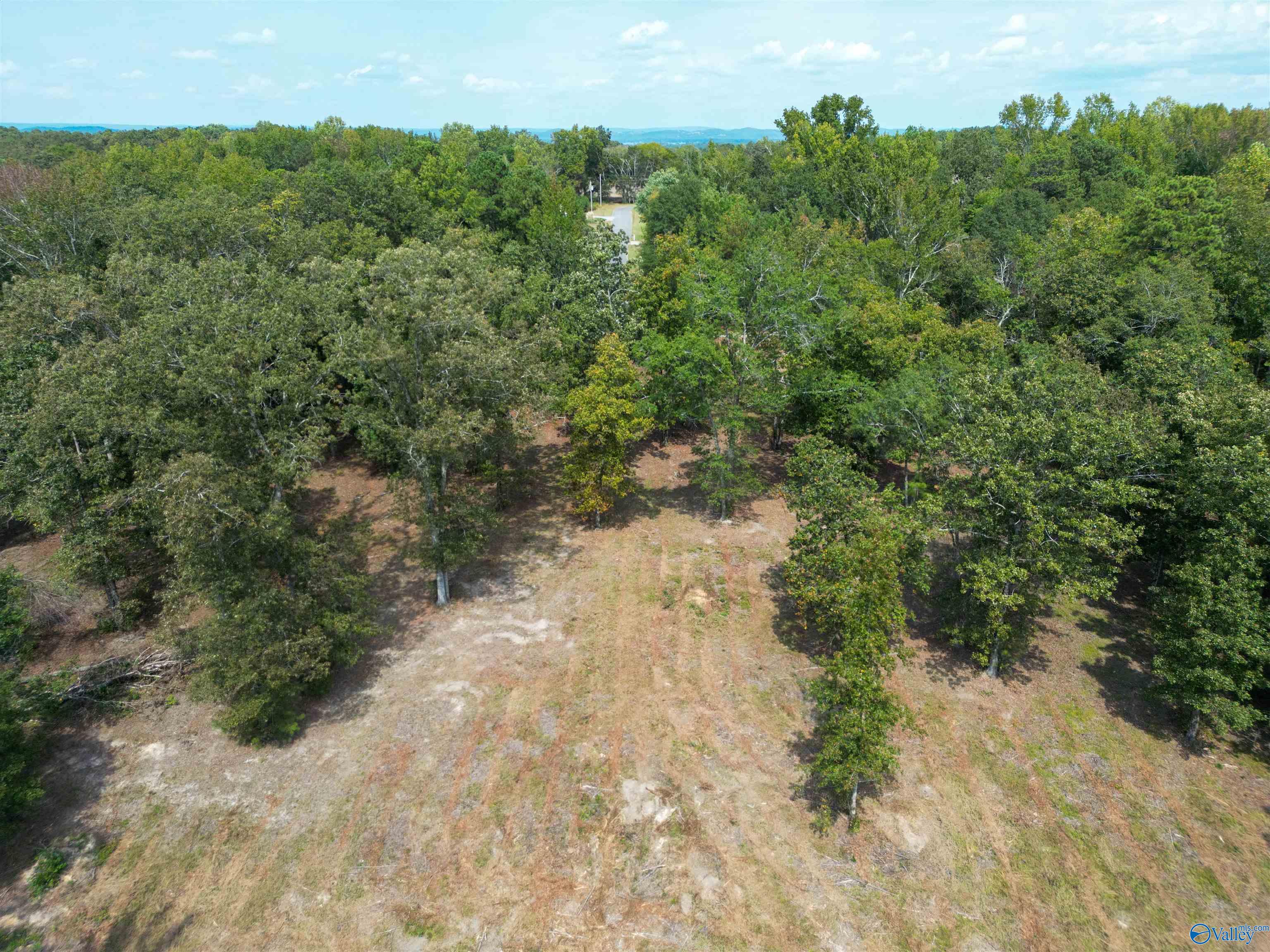 7 A County Road 497
