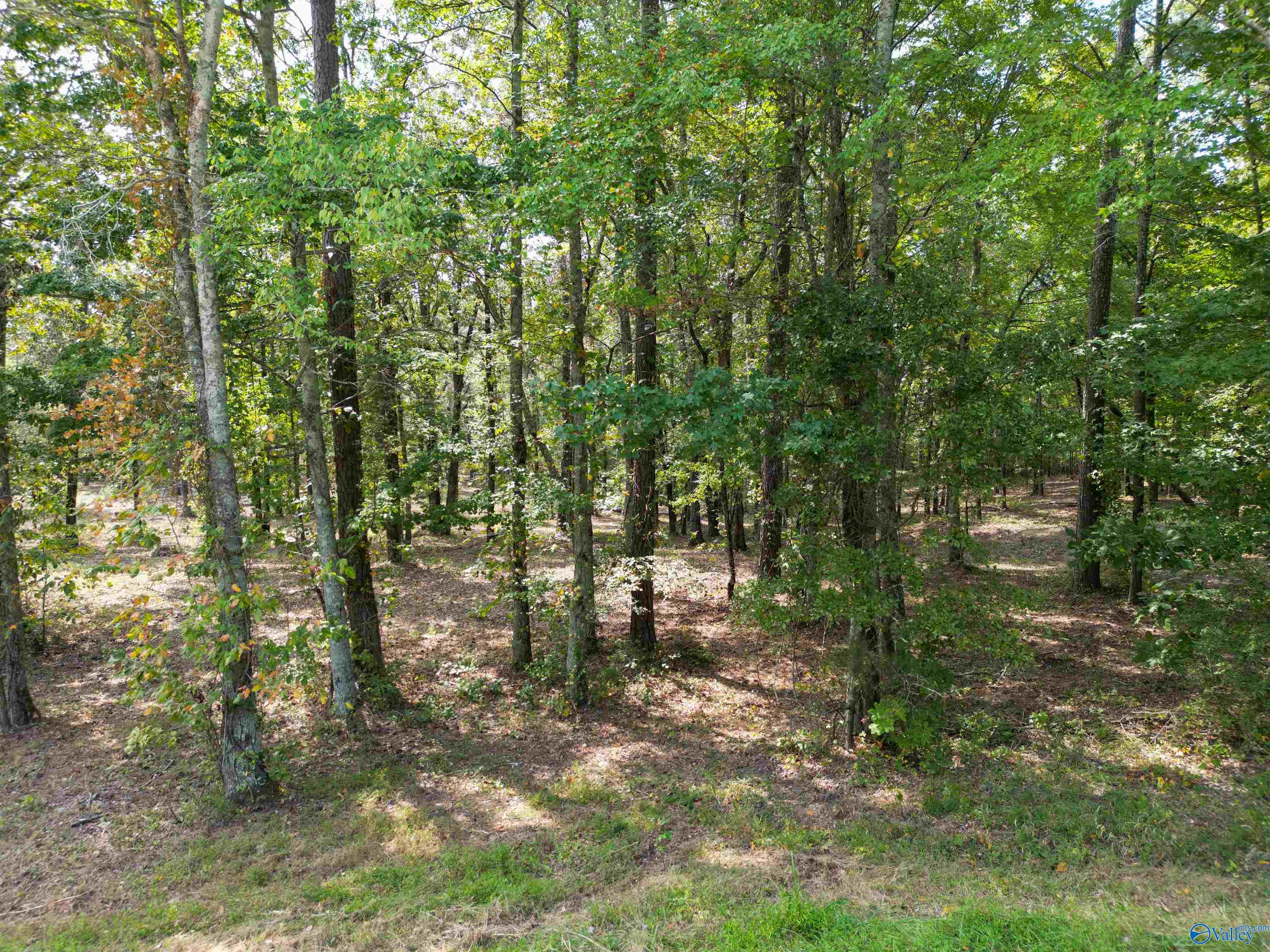7 A County Road 497