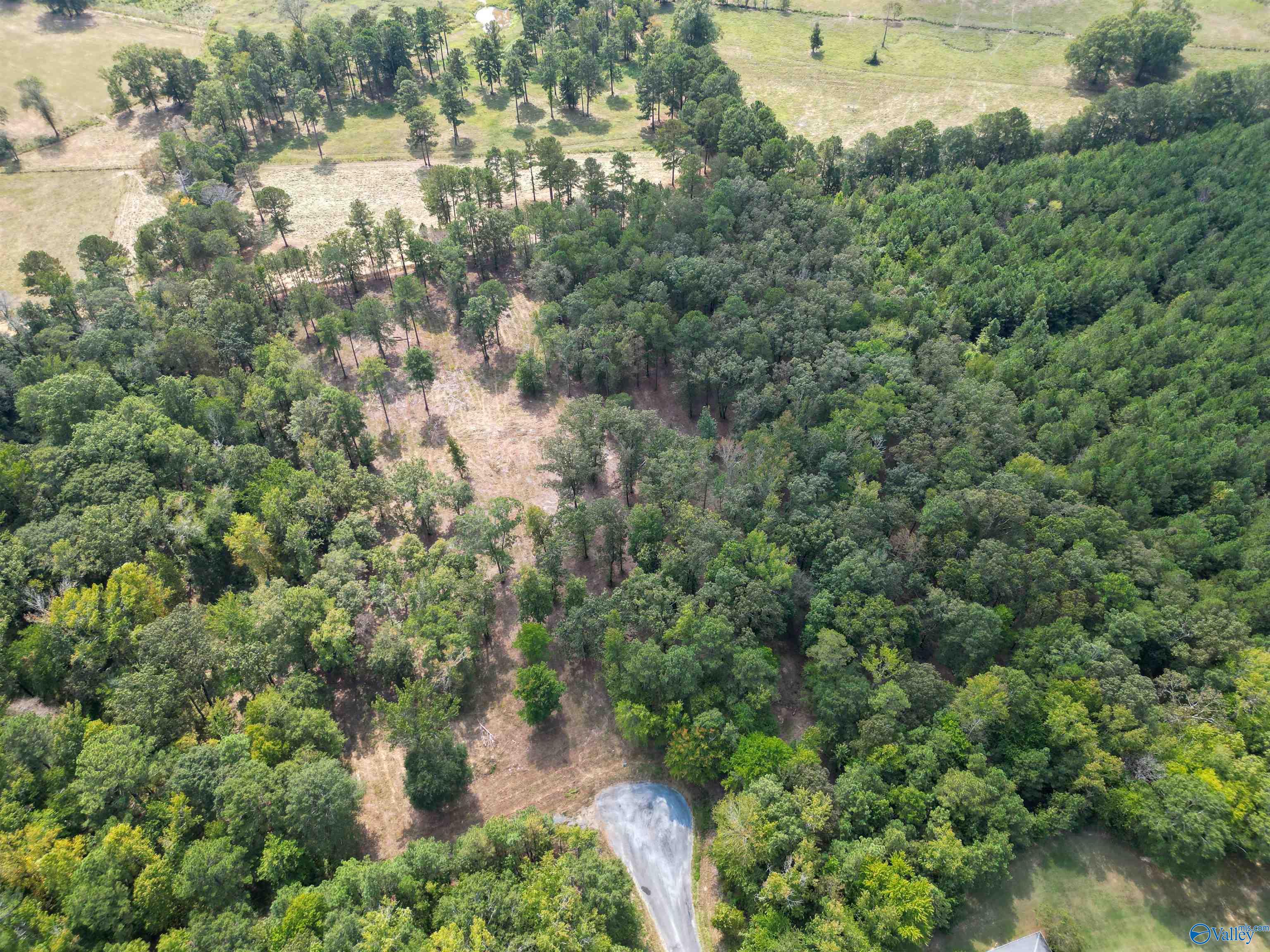 7 A County Road 497