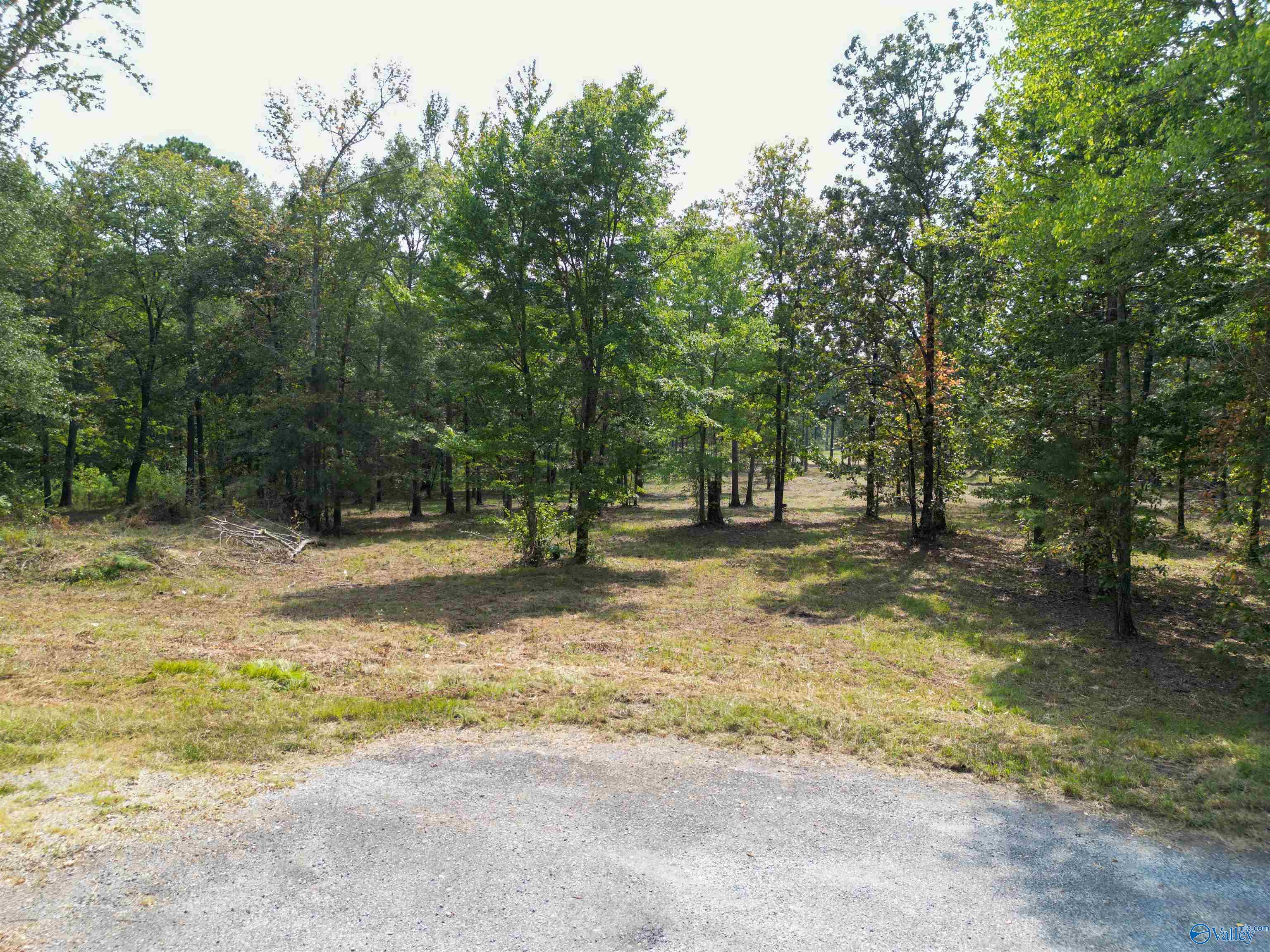 7 A County Road 497
