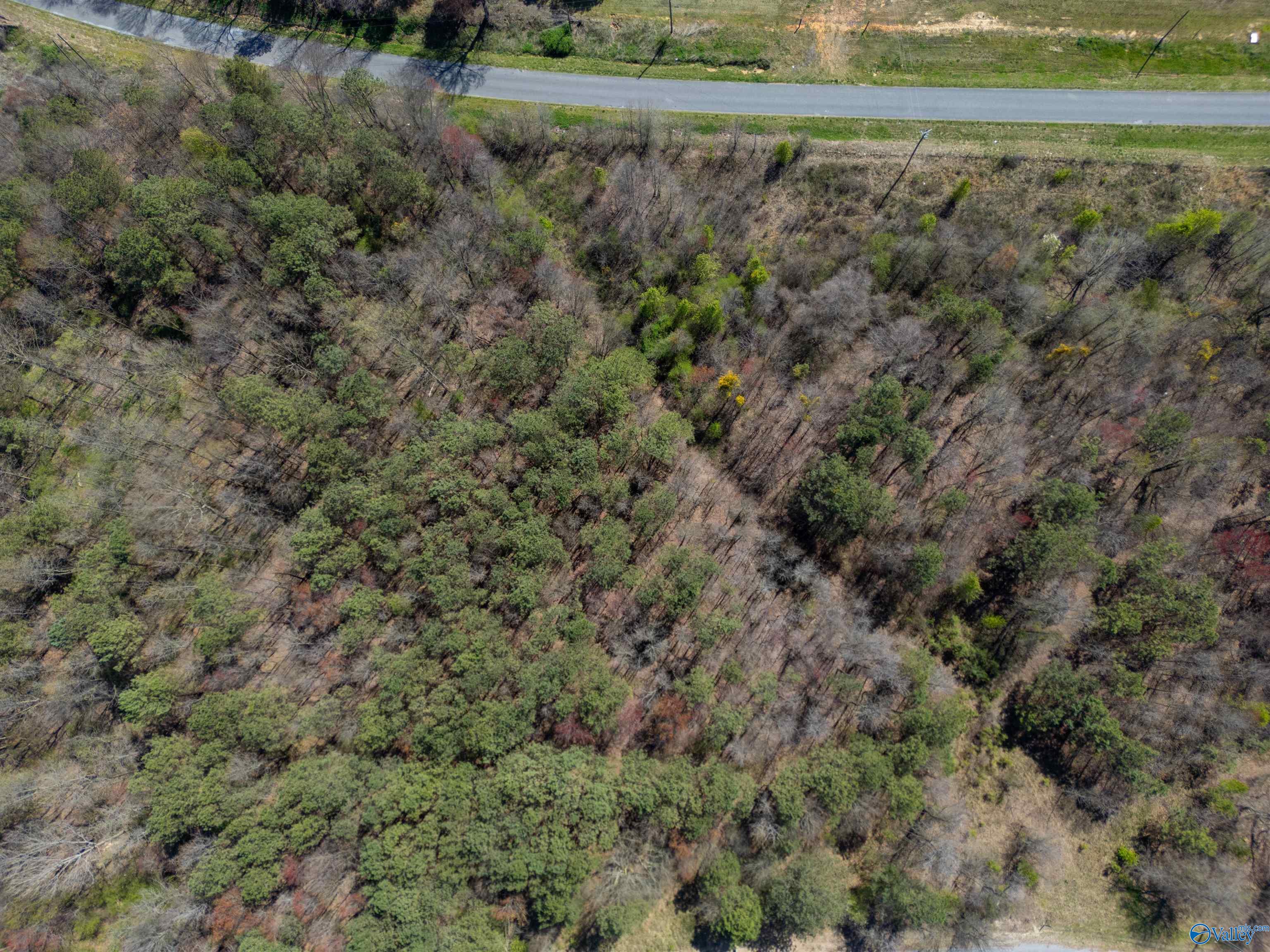1191 Allen Road