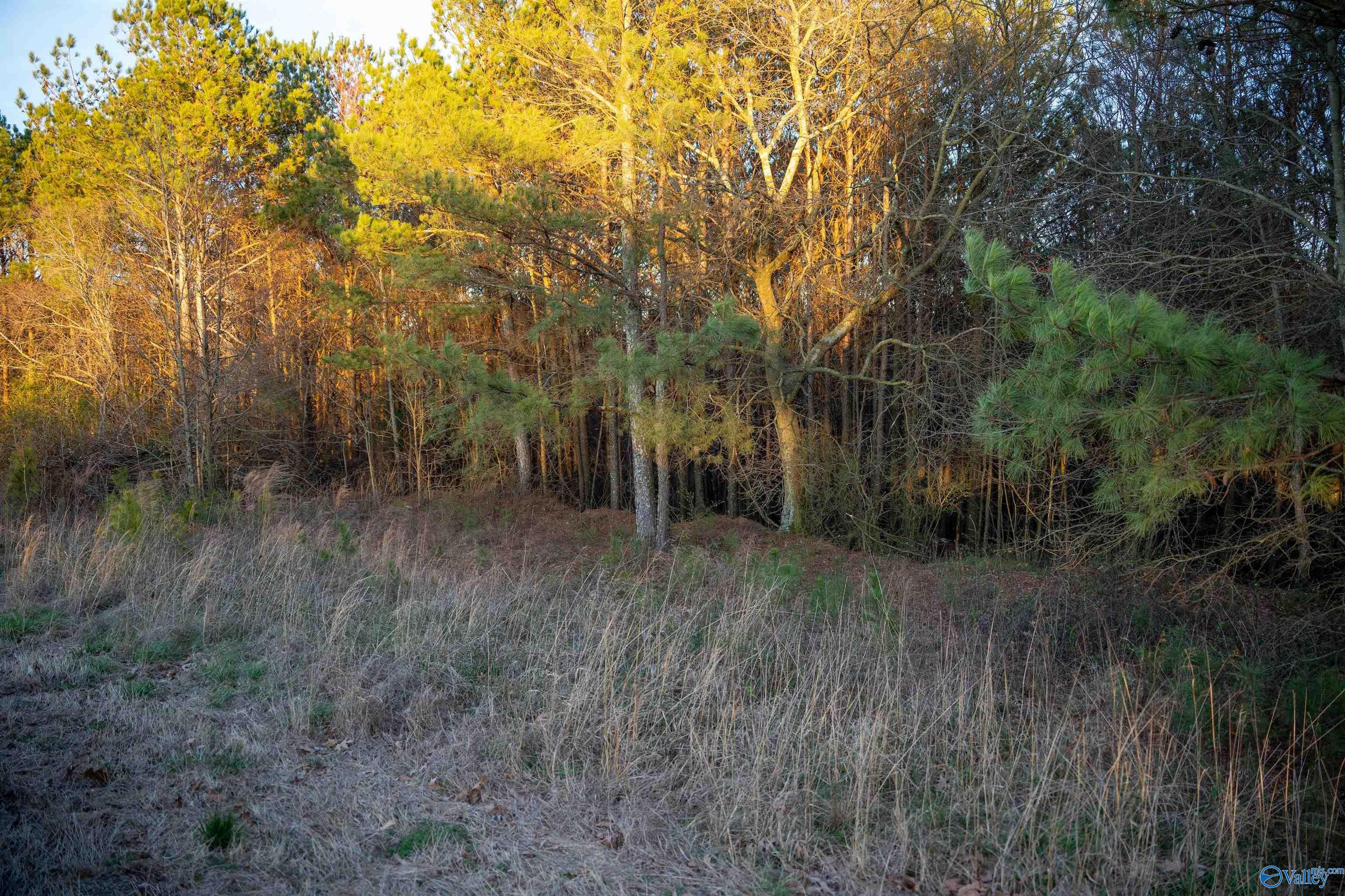 1191 Allen Road