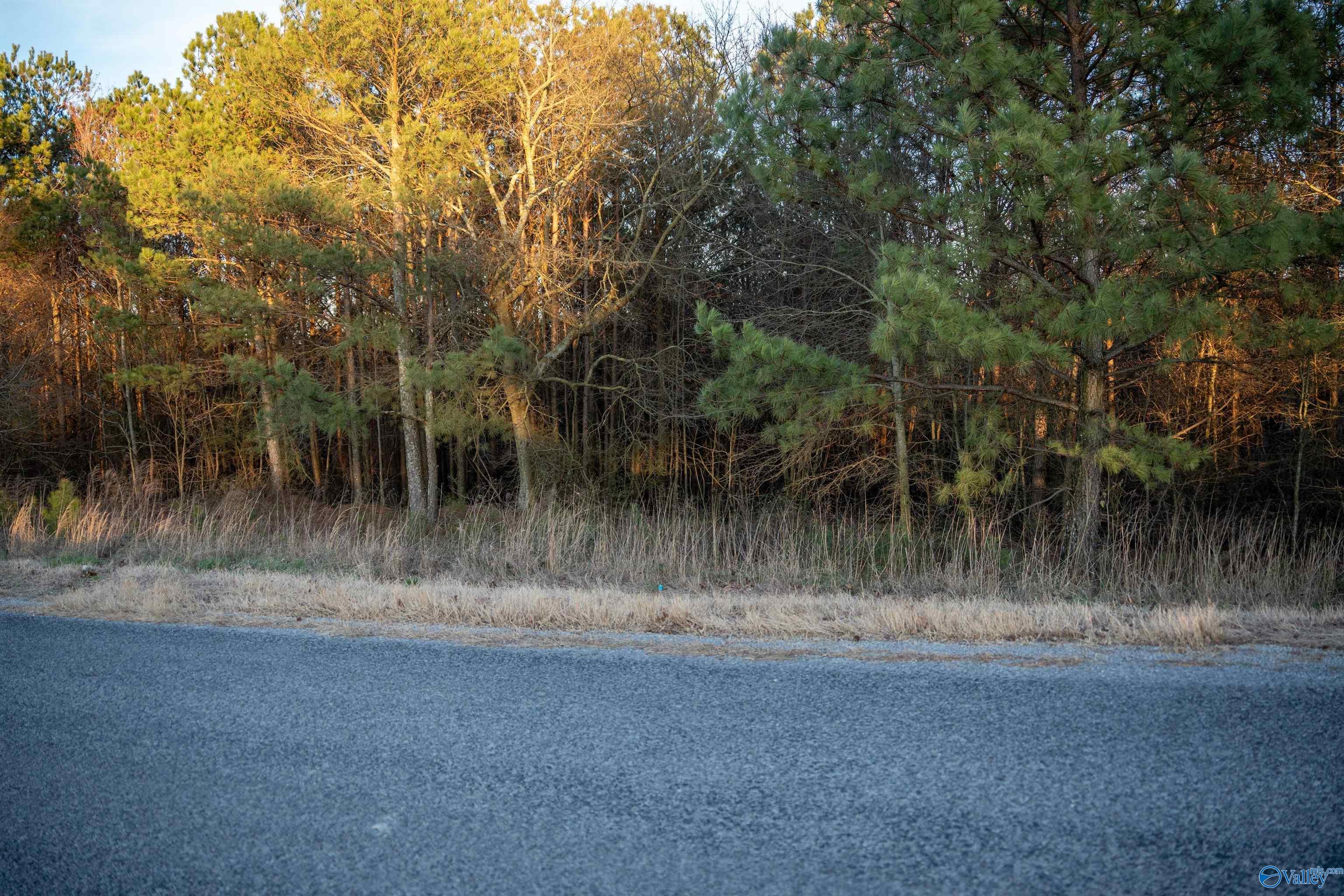 1191 Allen Road