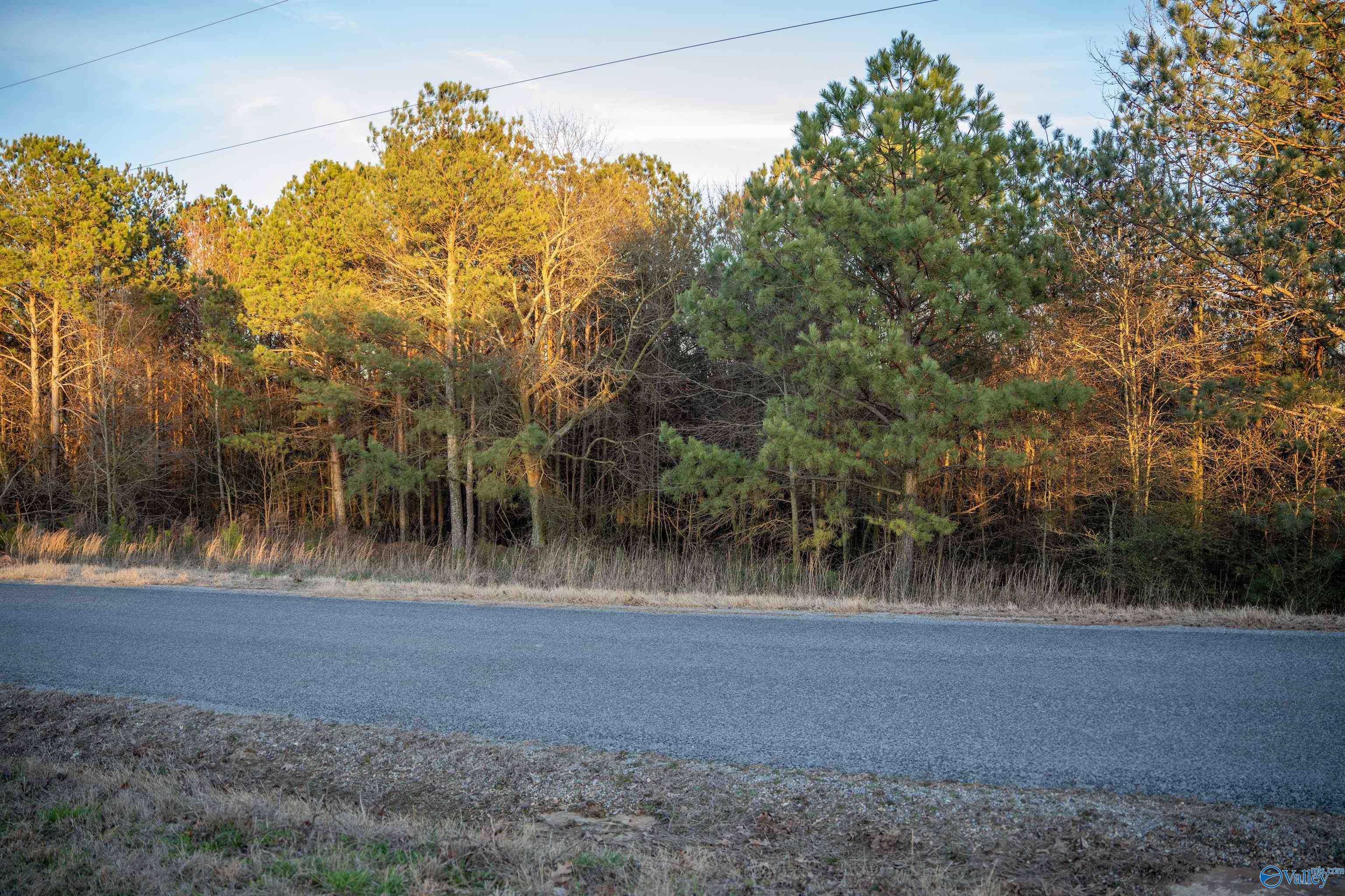 1191 Allen Road