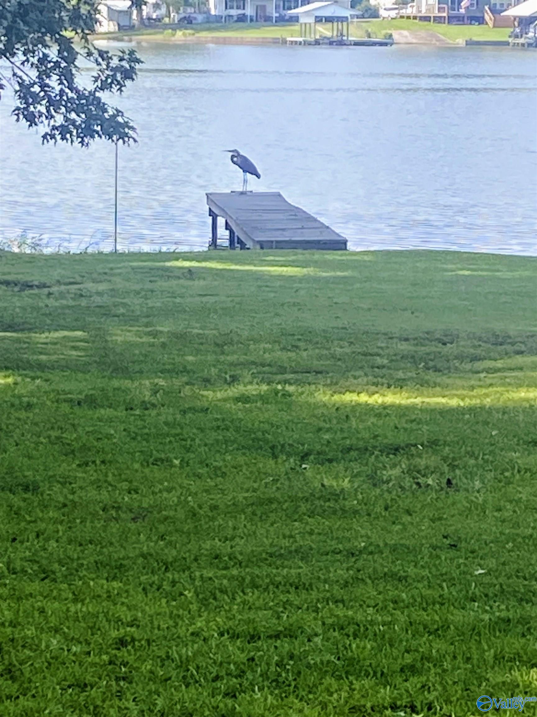631 County Road 146