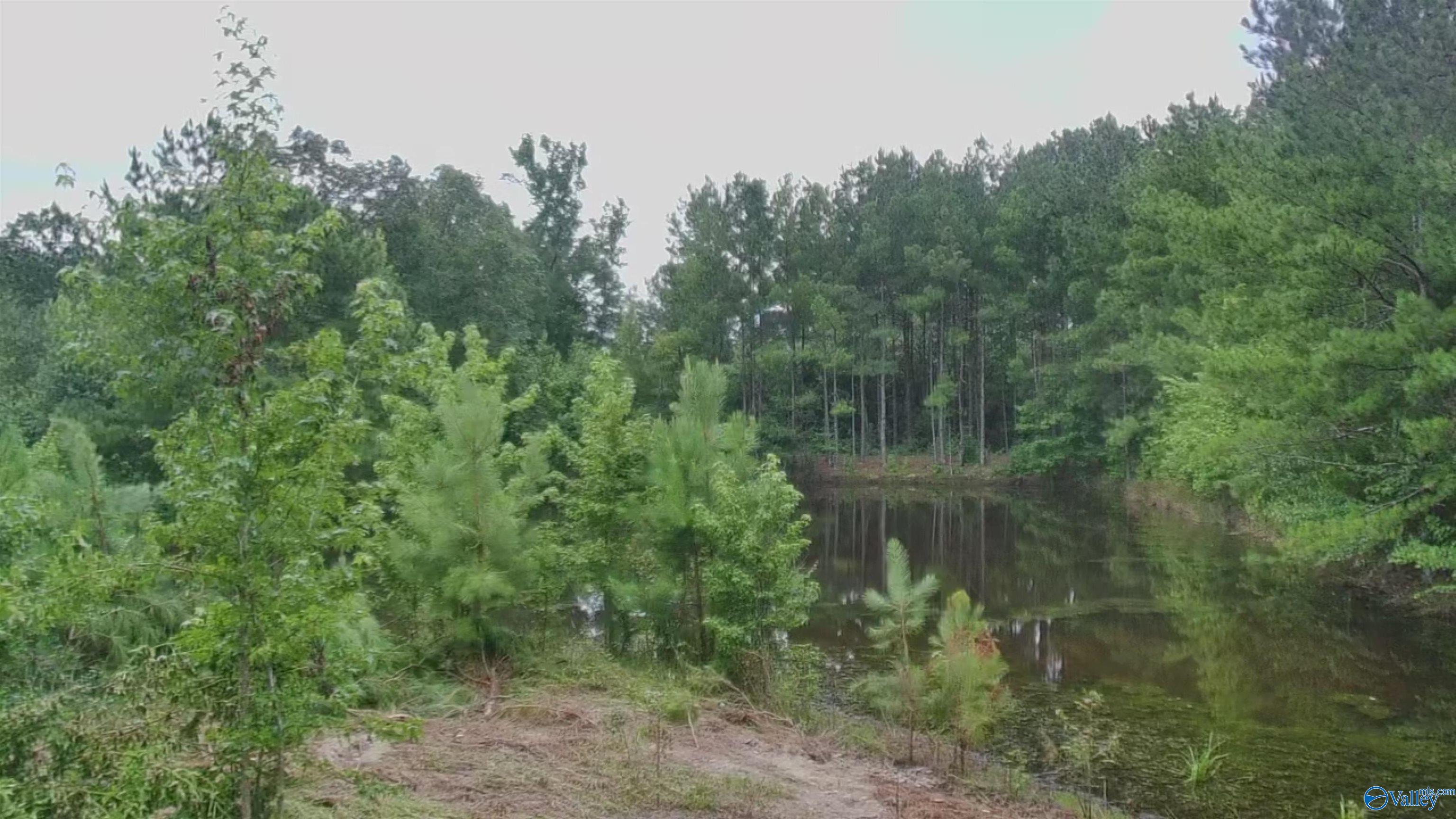 4040 County Road 131