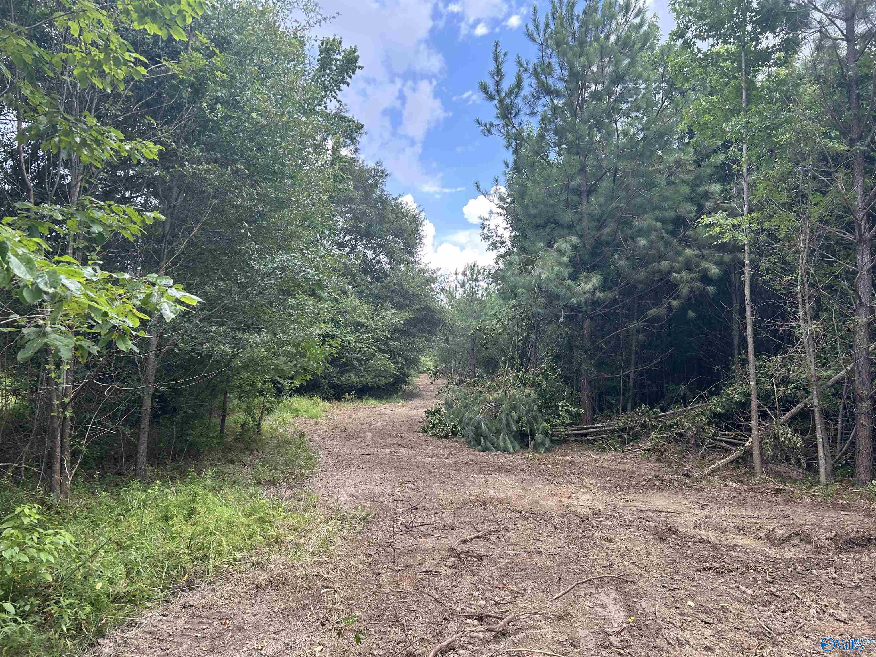 4040 County Road 131