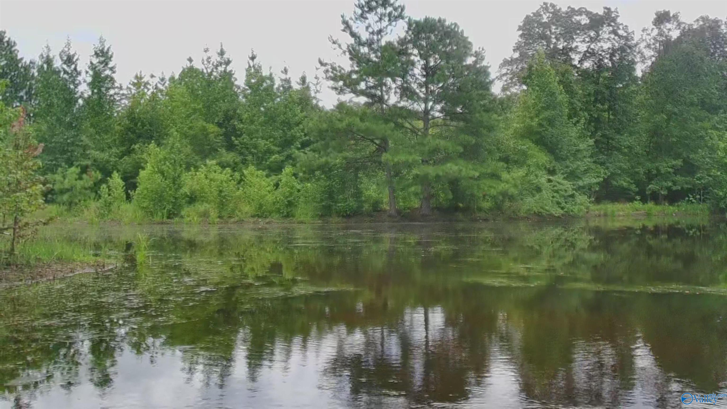 4040 County Road 131