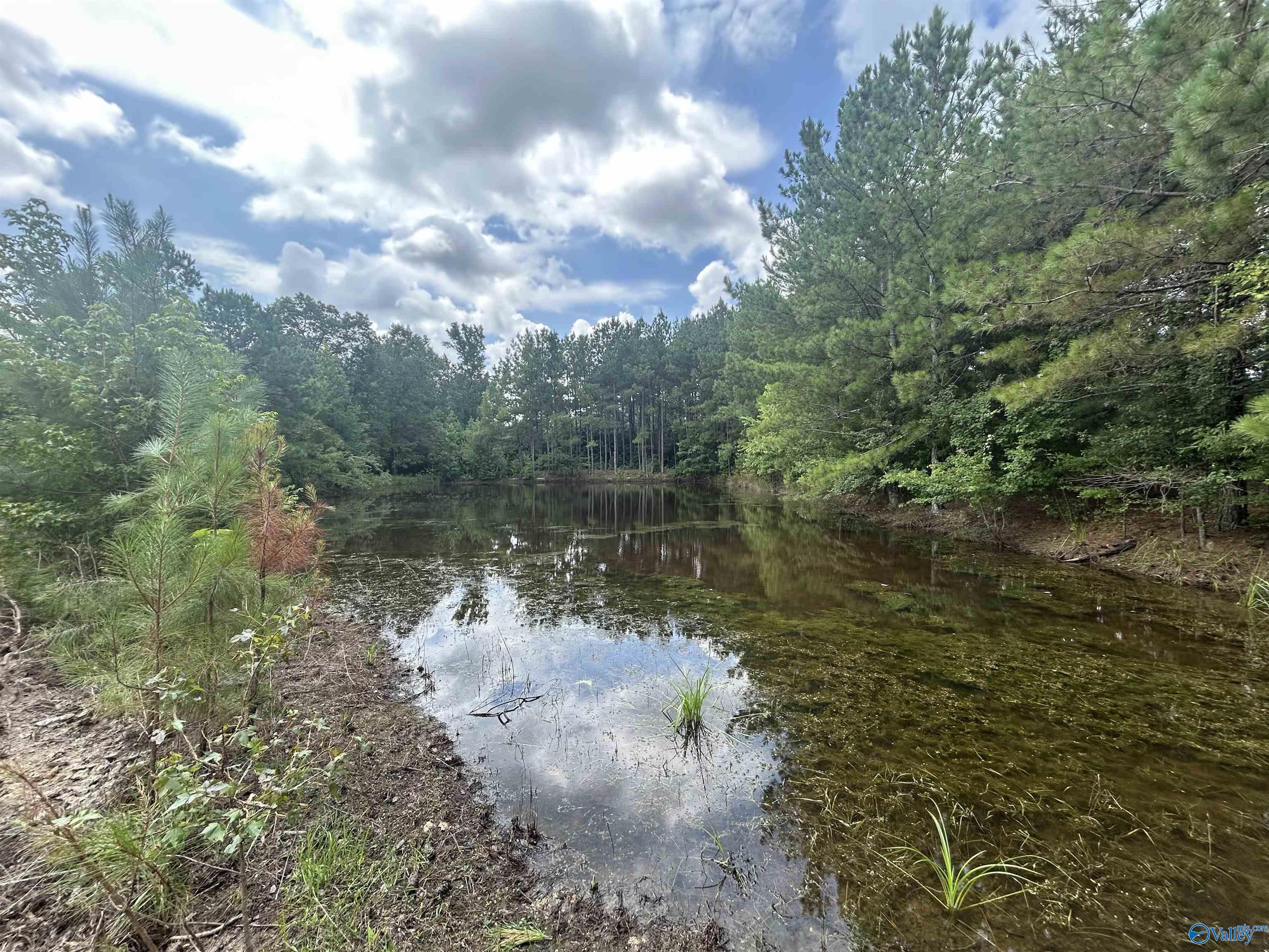 4040 County Road 131