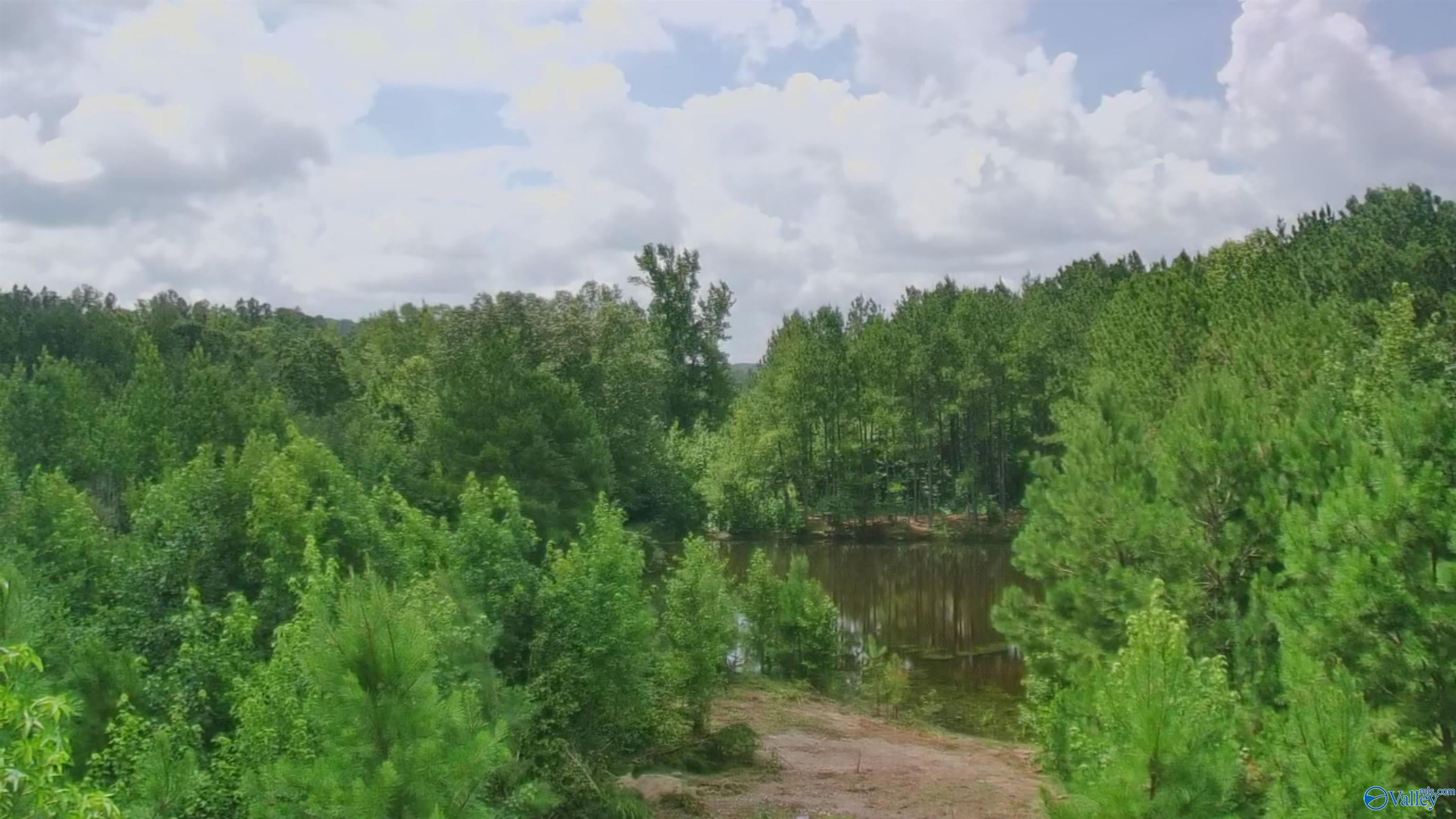 4040 County Road 131