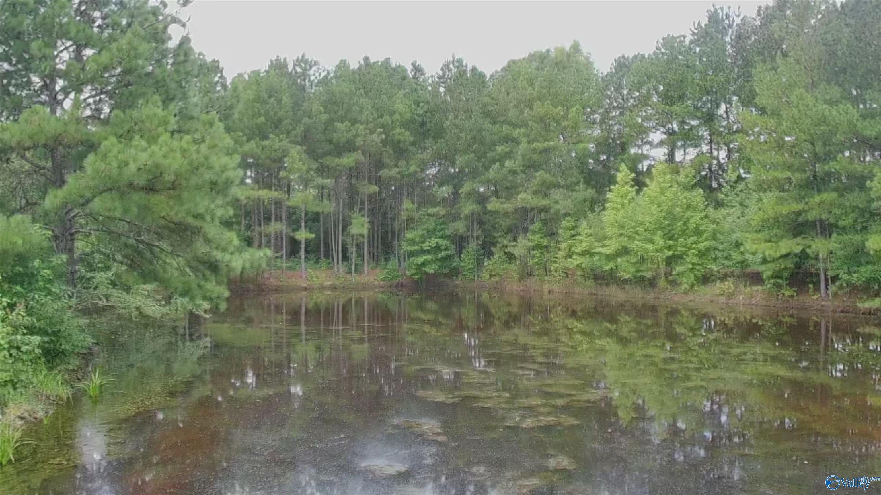 4040 County Road 131