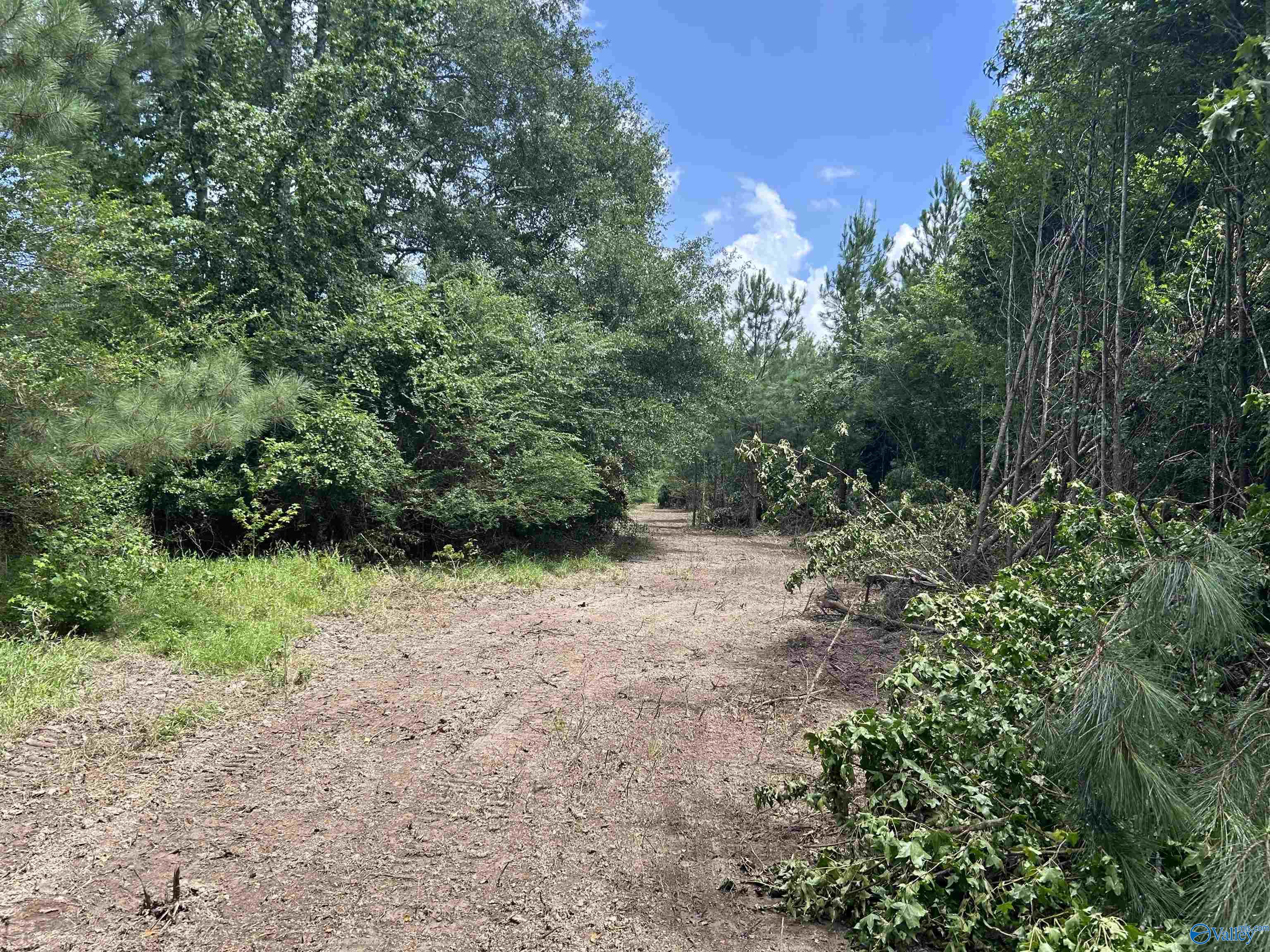 4040 County Road 131