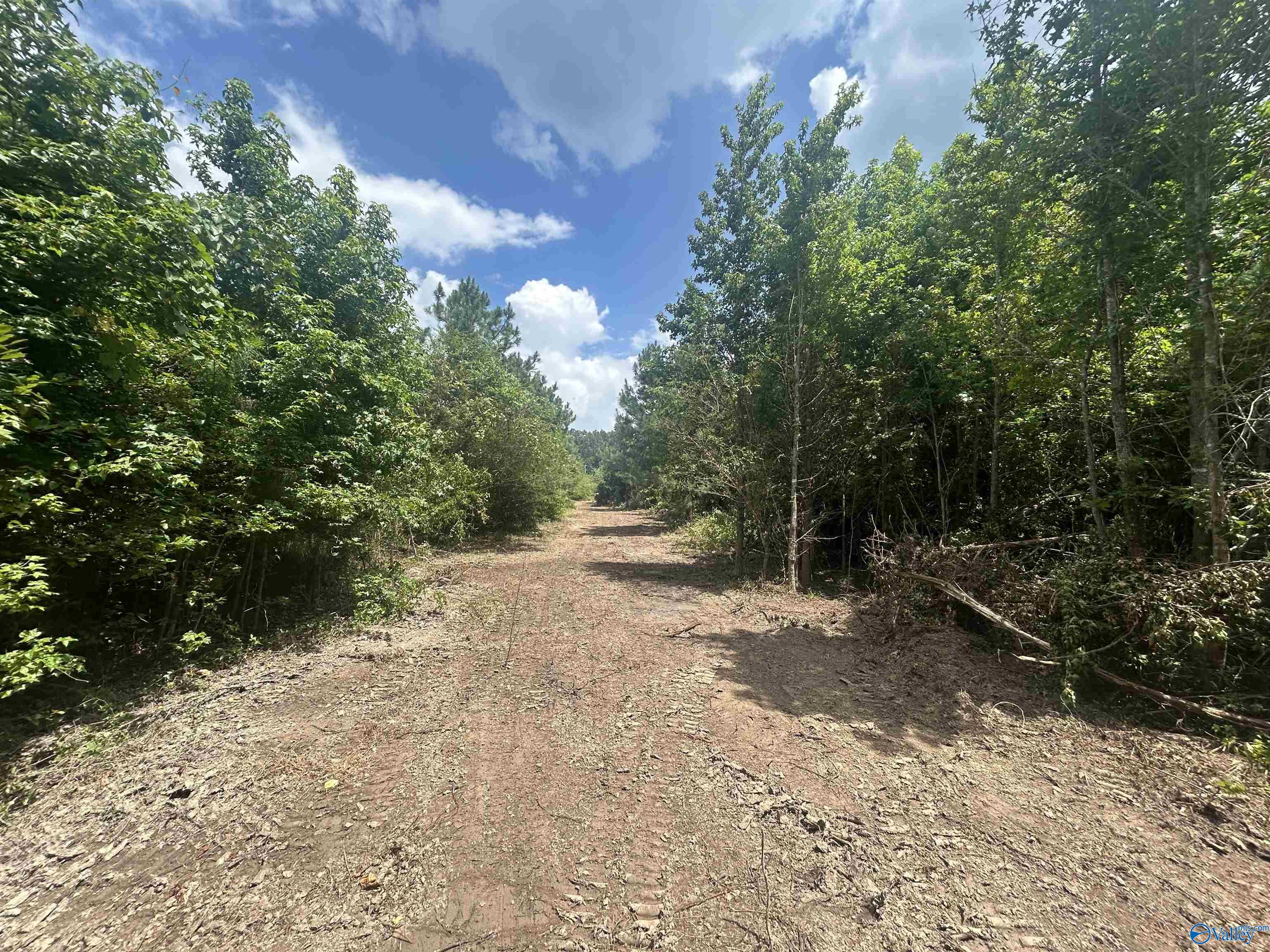 4040 County Road 131
