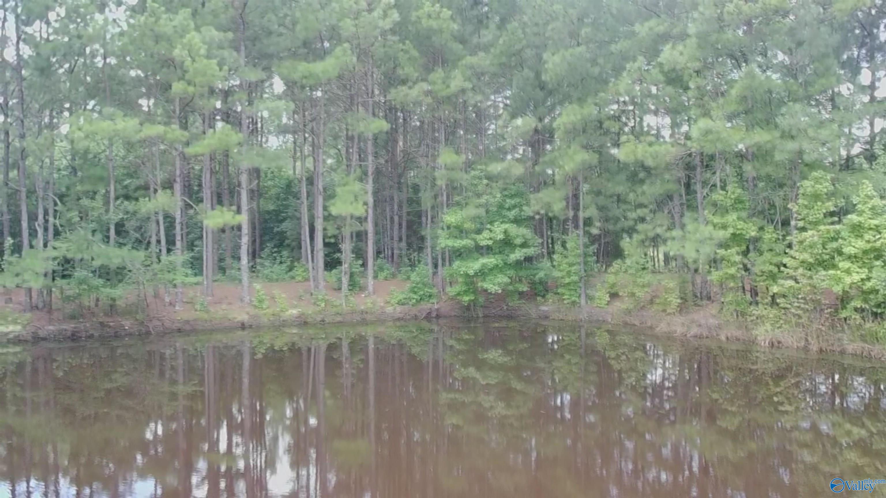 4040 County Road 131