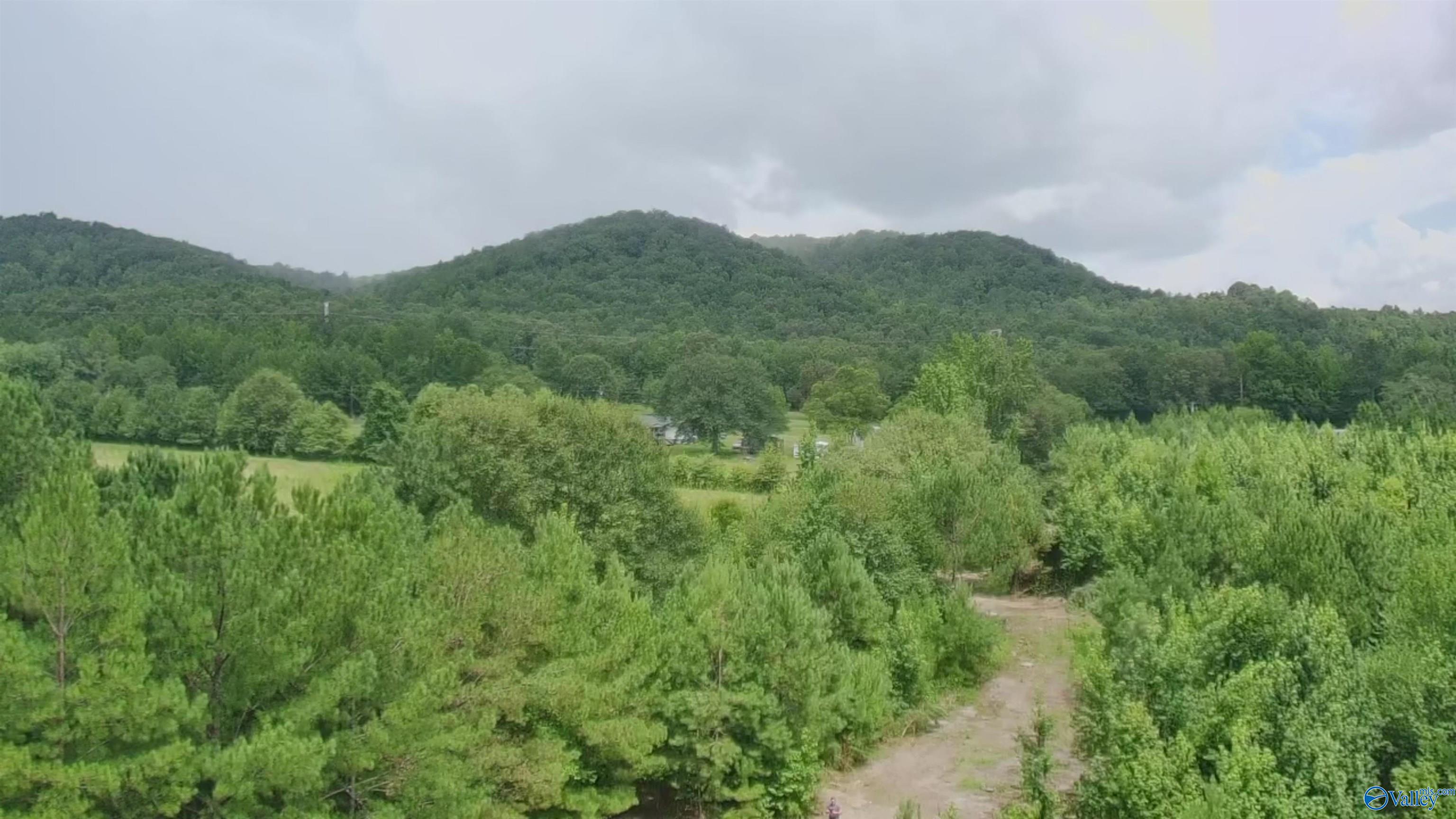 4040 County Road 131