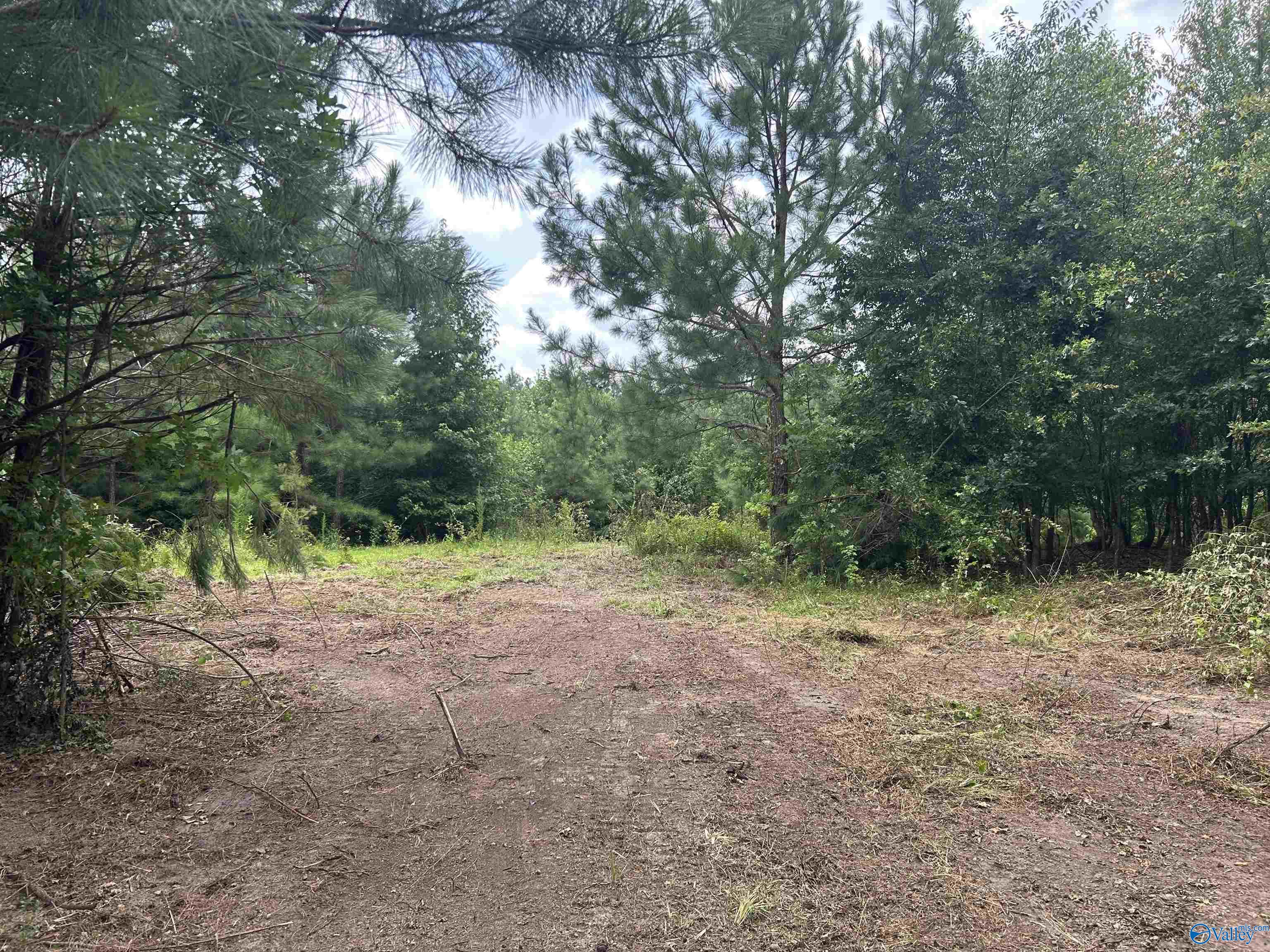 4040 County Road 131