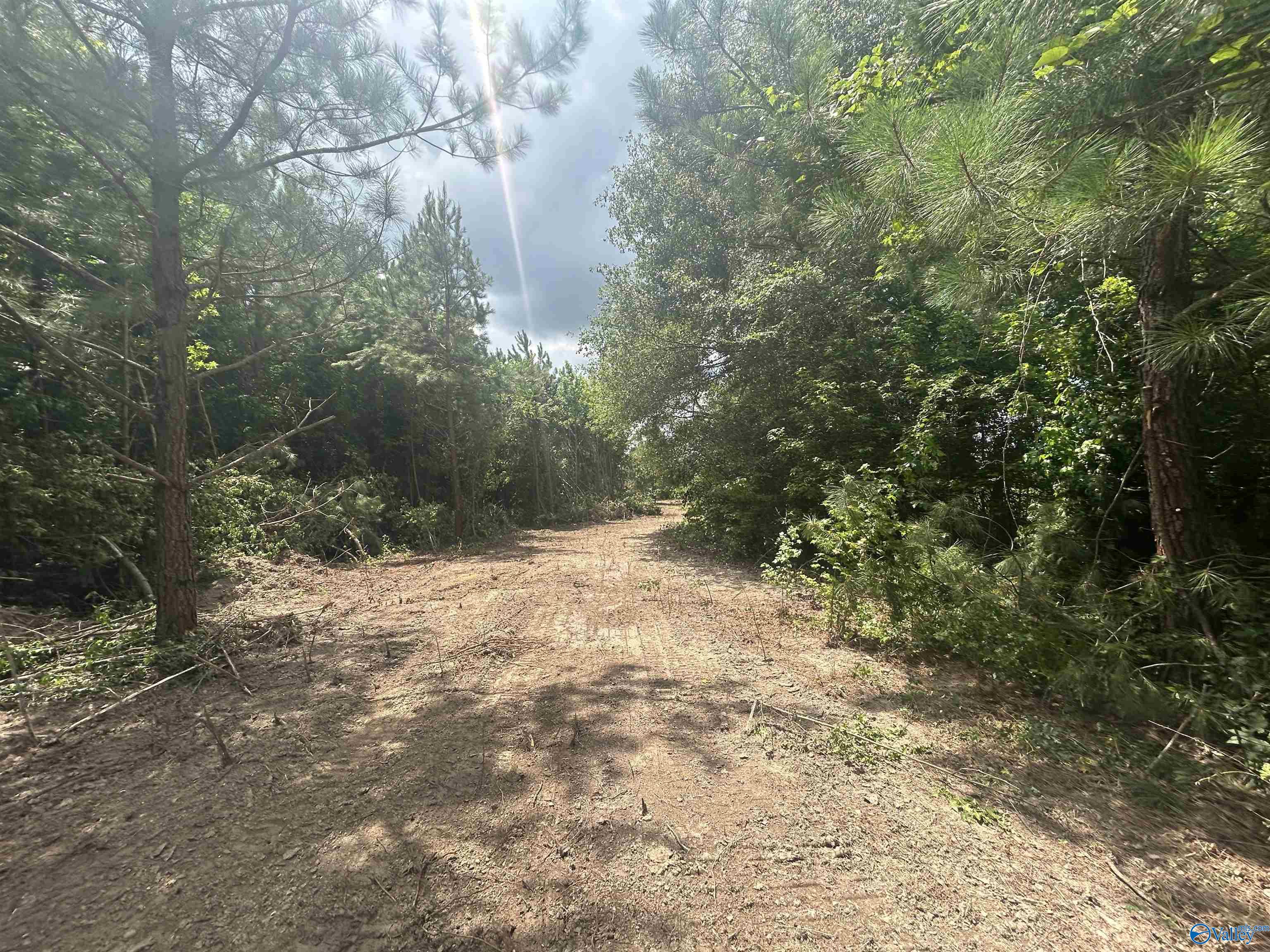 4040 County Road 131