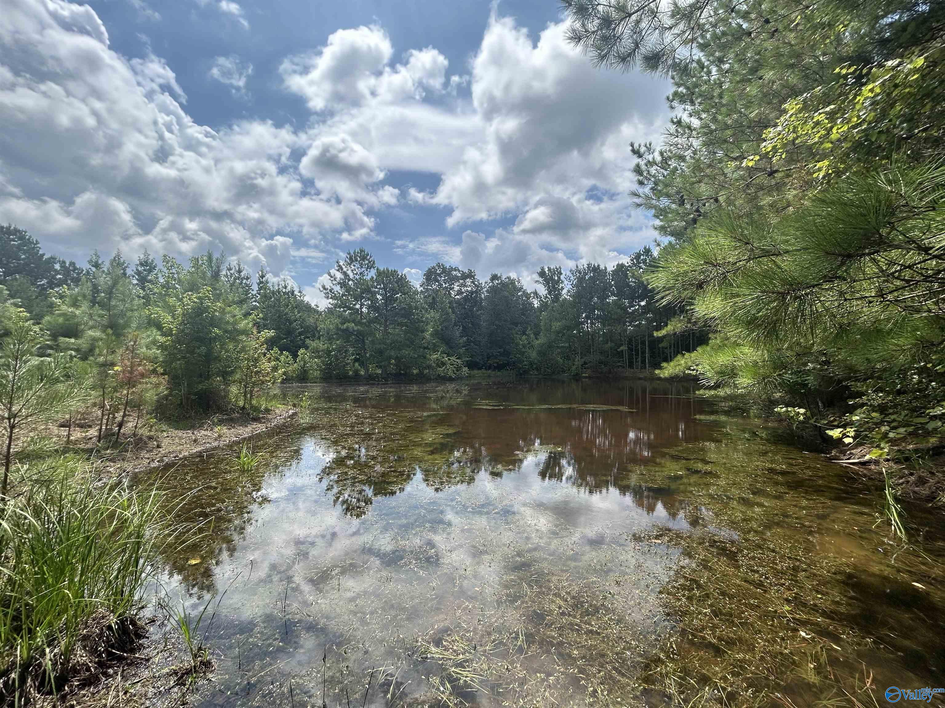 4040 County Road 131