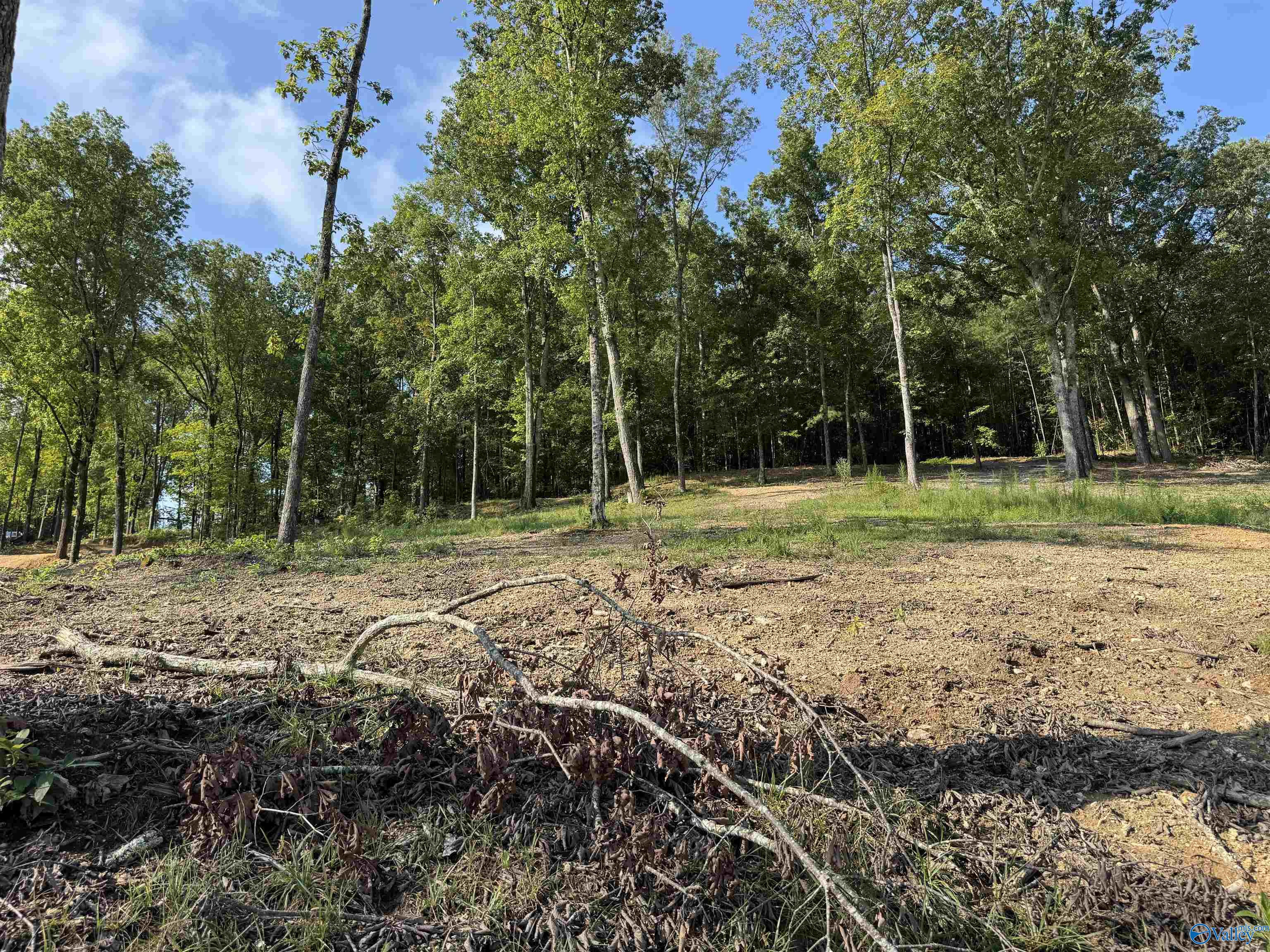 .39 acres County Road 594