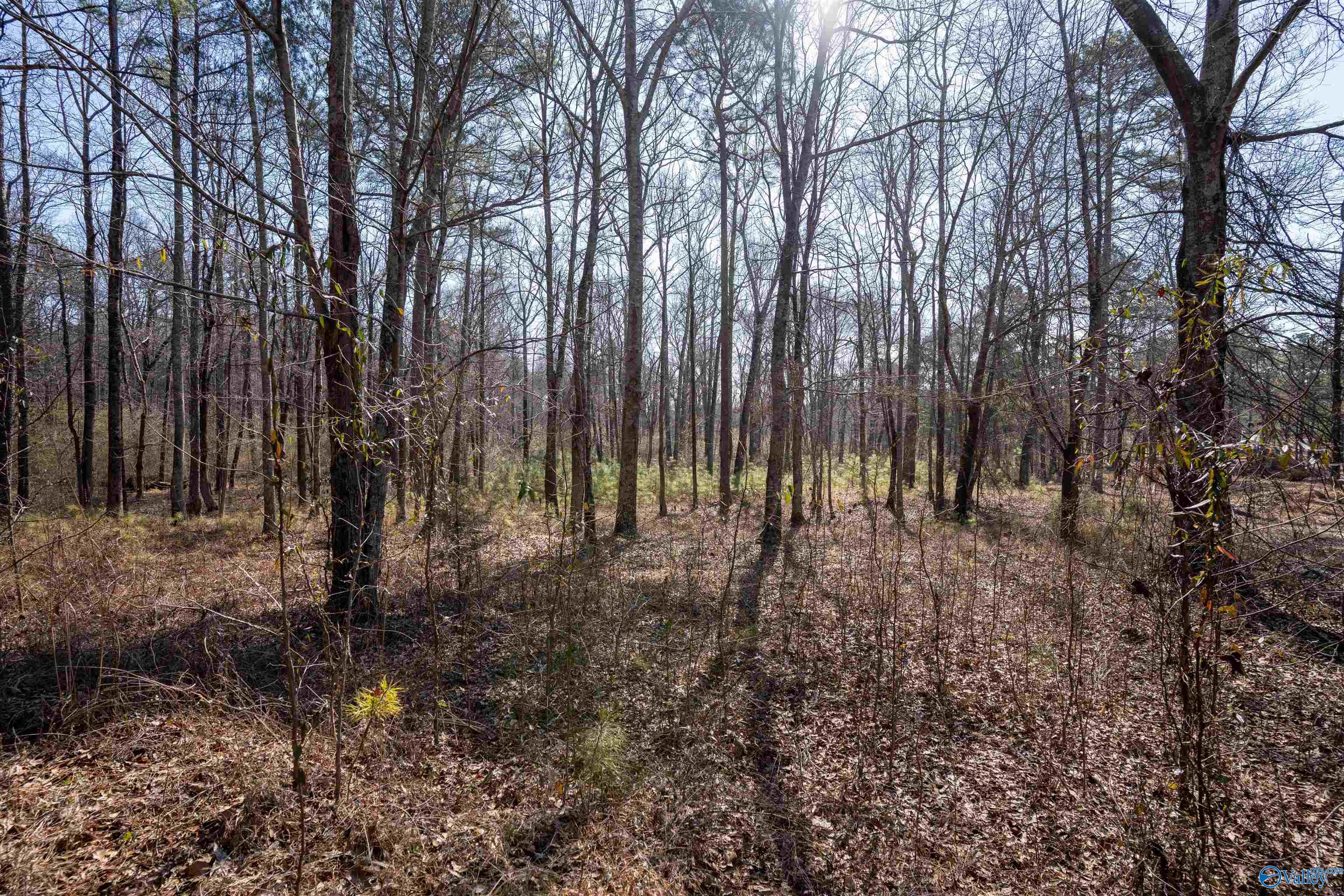 3.7 County Road 497