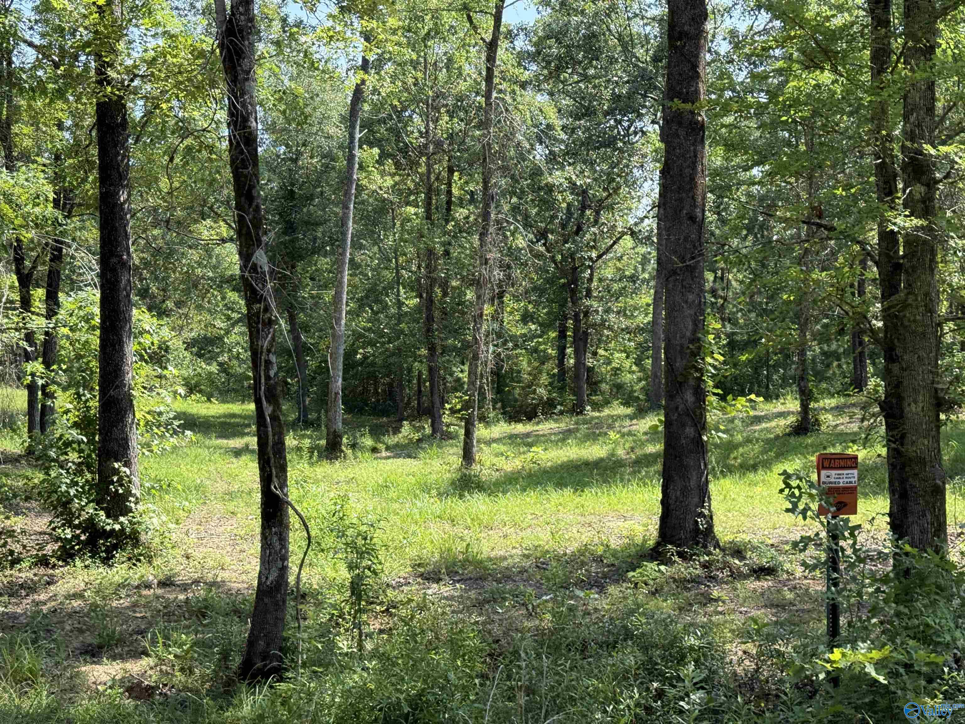 1 County Road 819