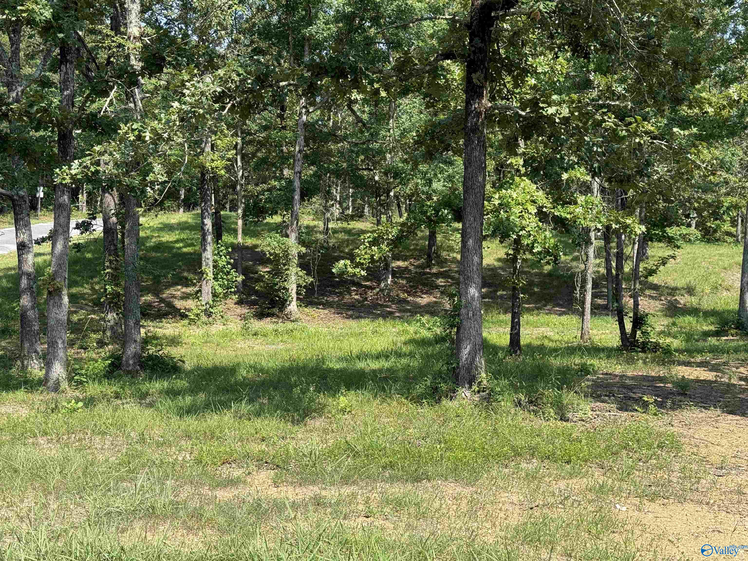1 County Road 819