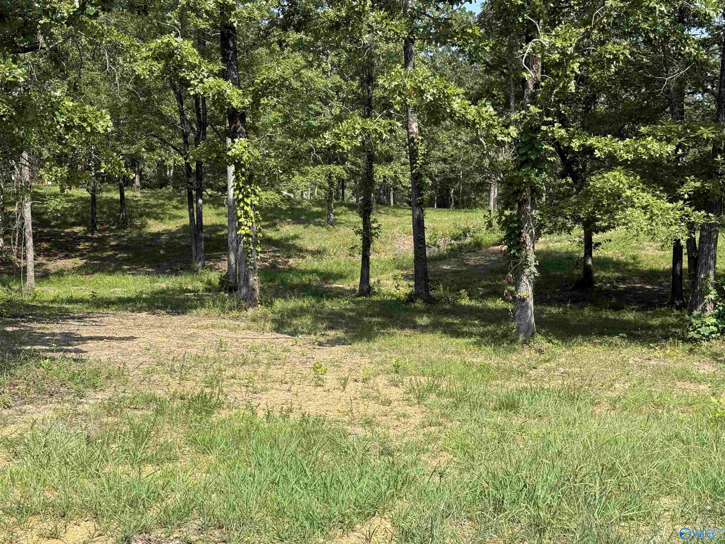 1 County Road 819