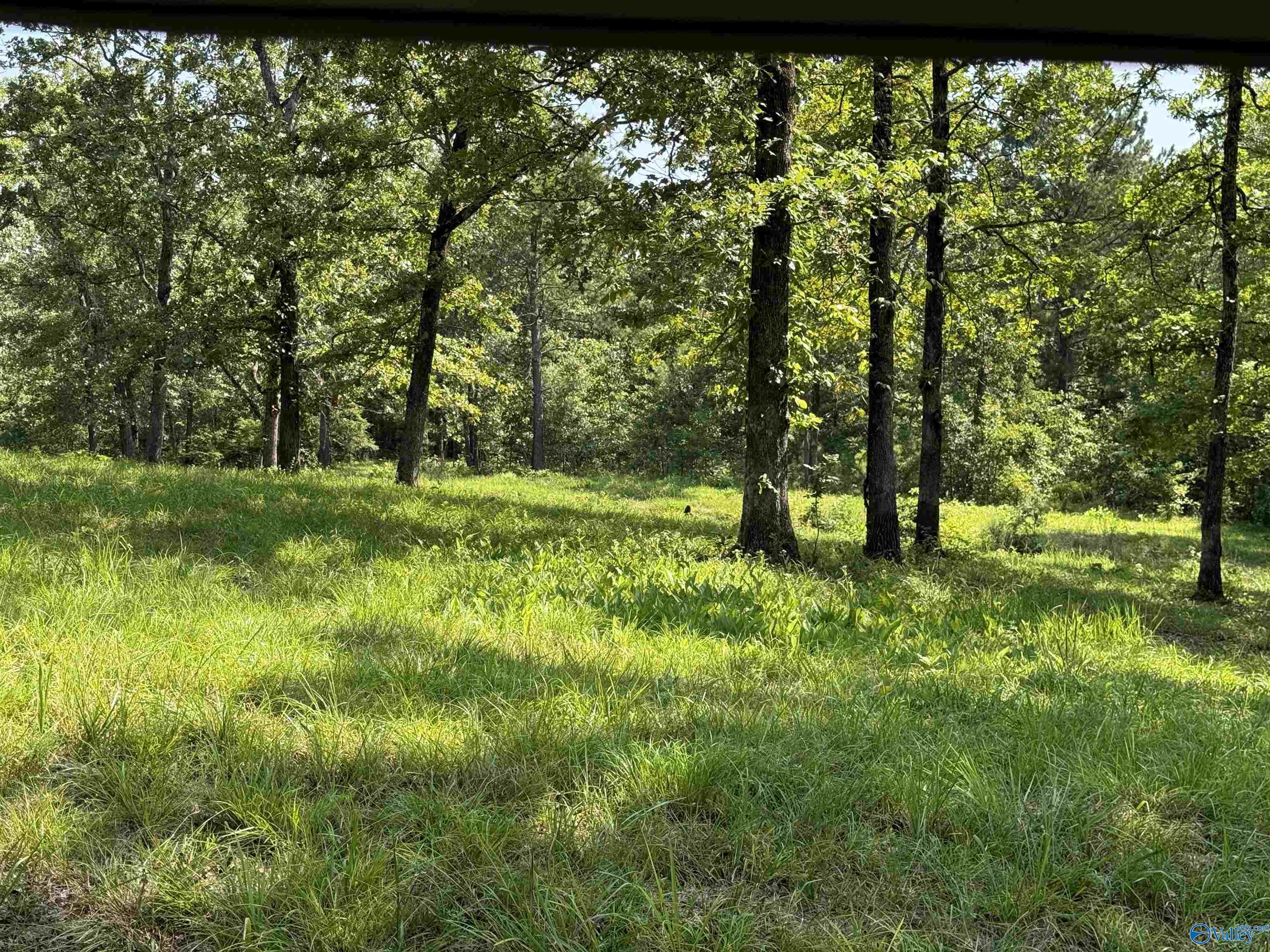 1 County Road 819