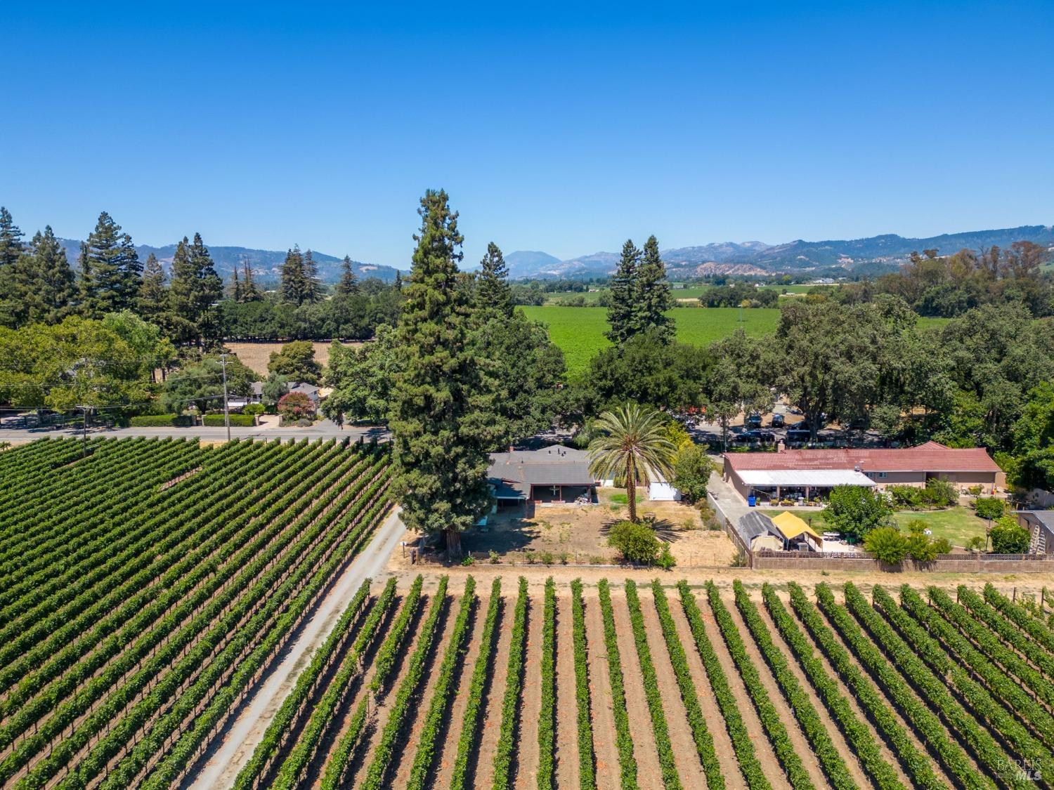 1039 Rutherford Rd Napa