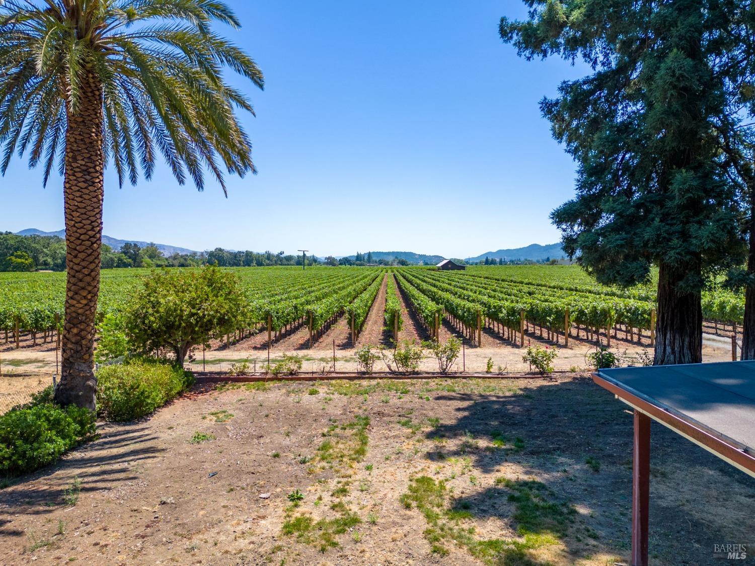 1039 Rutherford Rd Napa