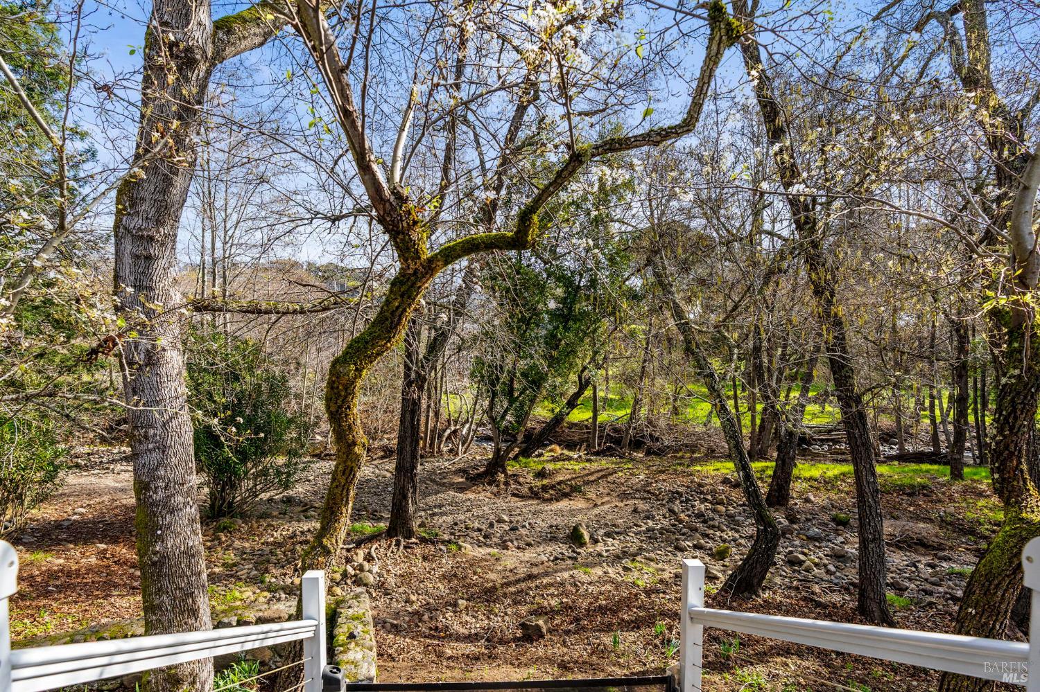 152 Bonnie Brook Drive