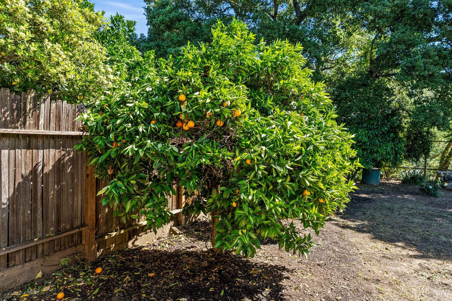 2608 W Pueblo Avenue