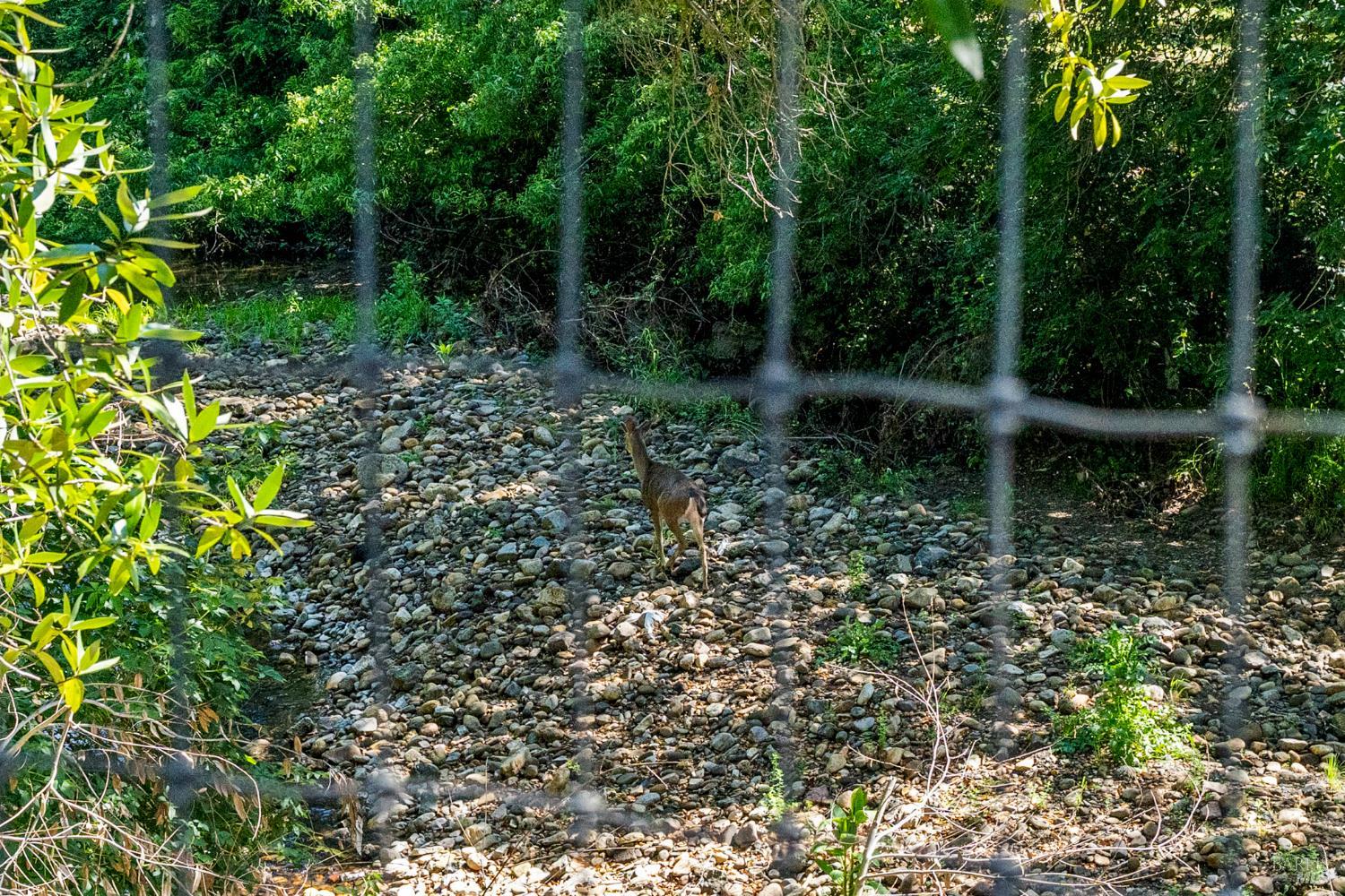 2608 W Pueblo Avenue