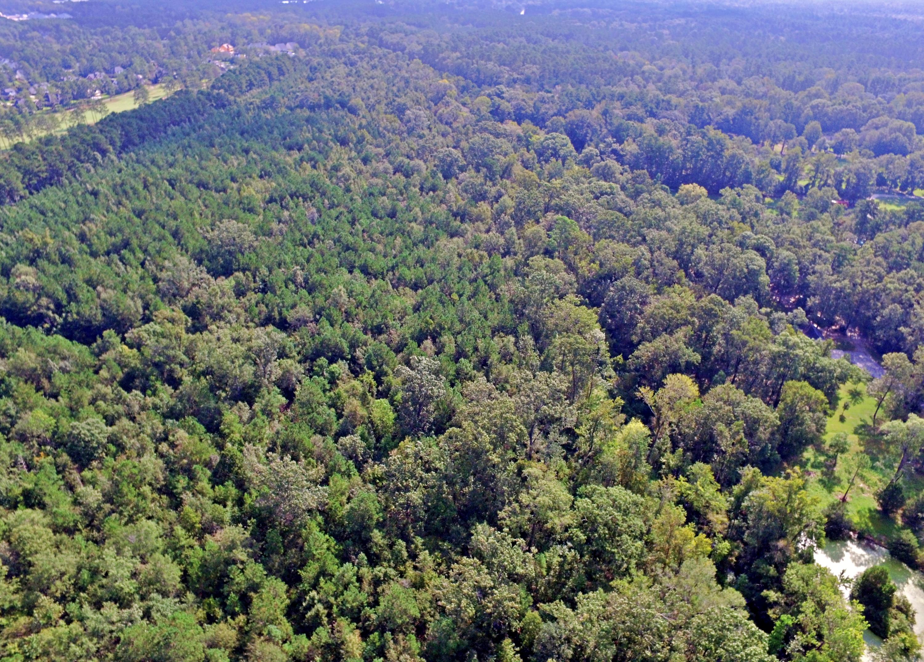 0 Hitching Post Lane