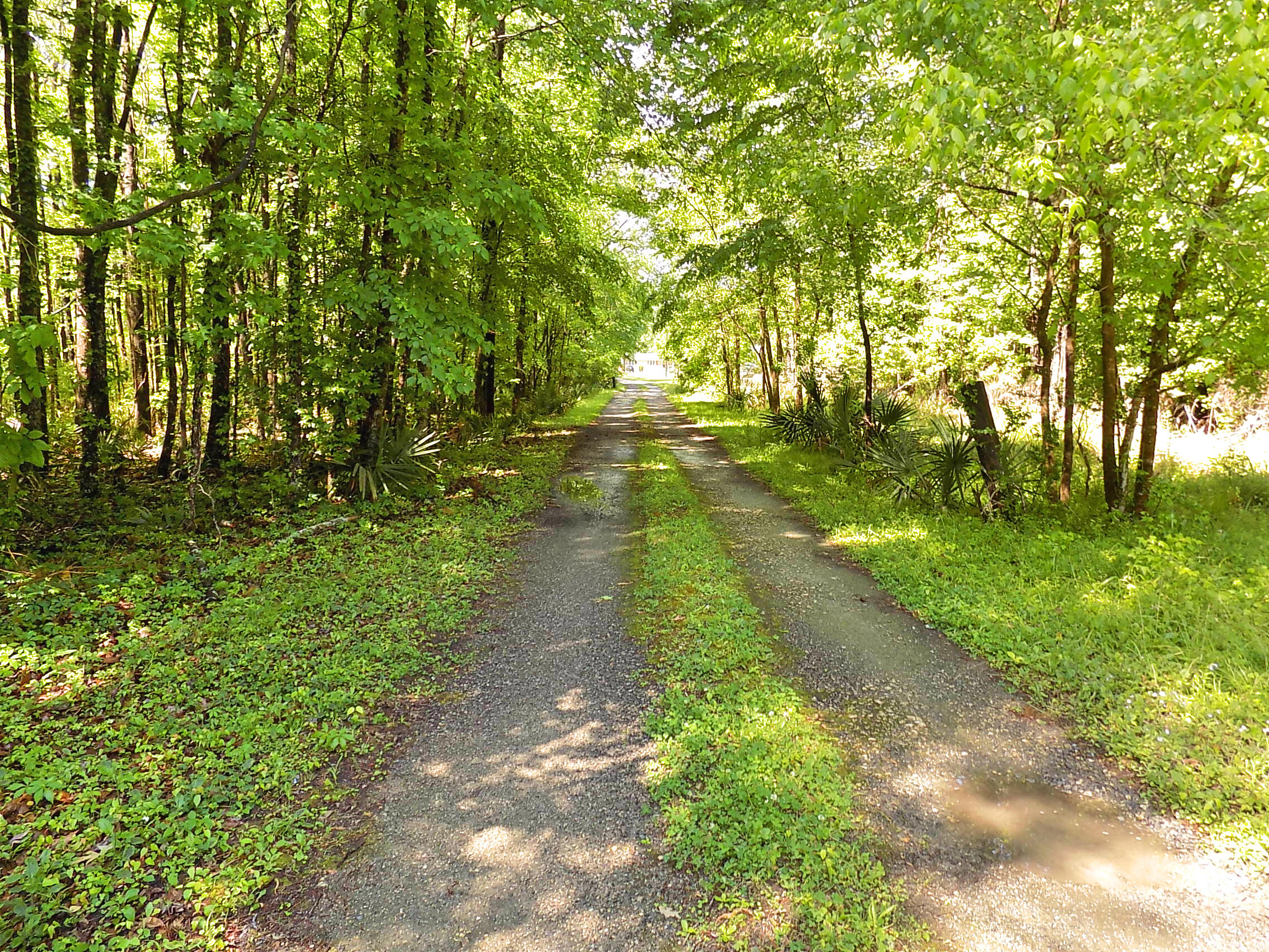 750 Bear Swamp Road
