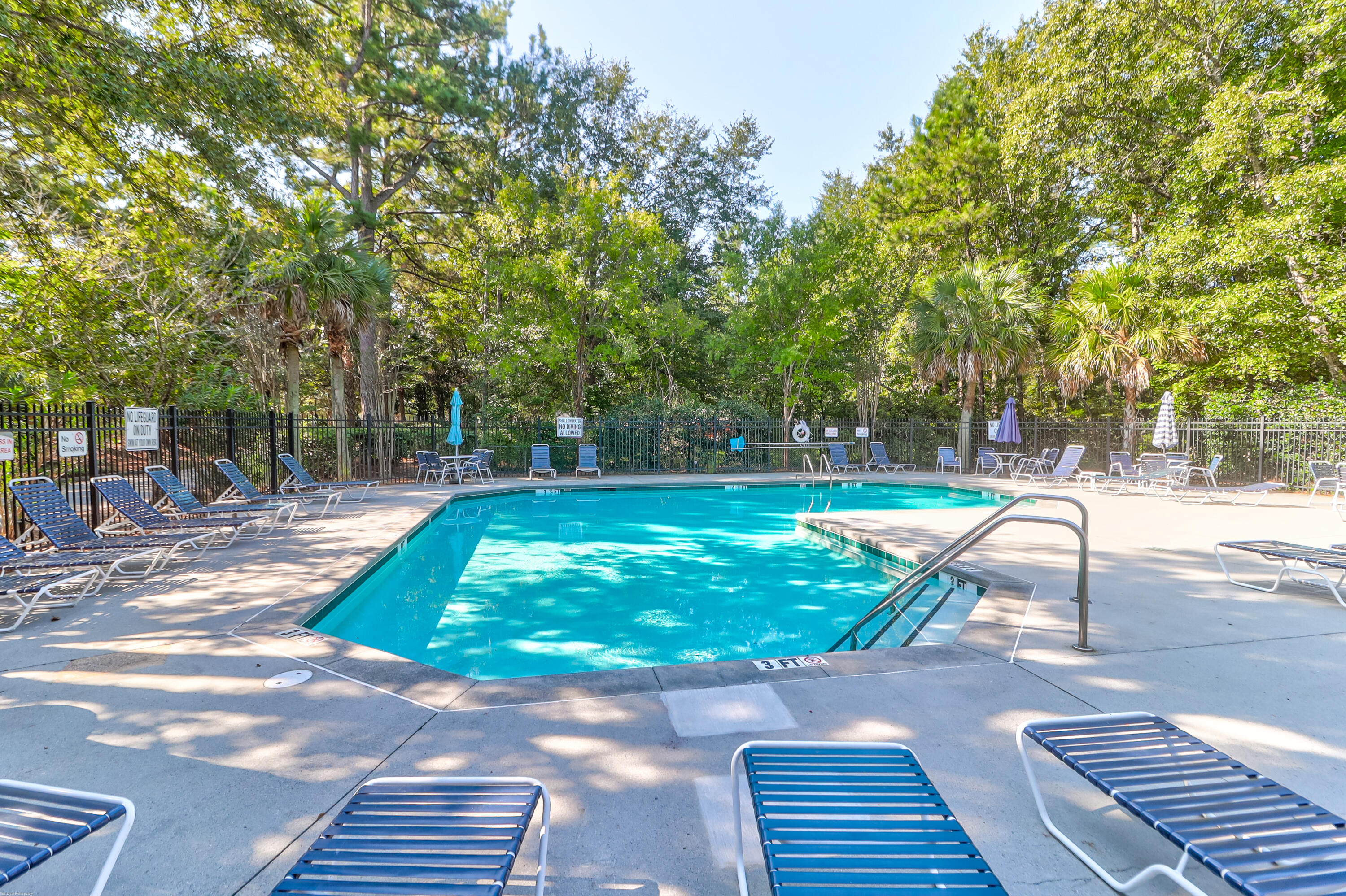 100 Yellow Hawthorn Circle
