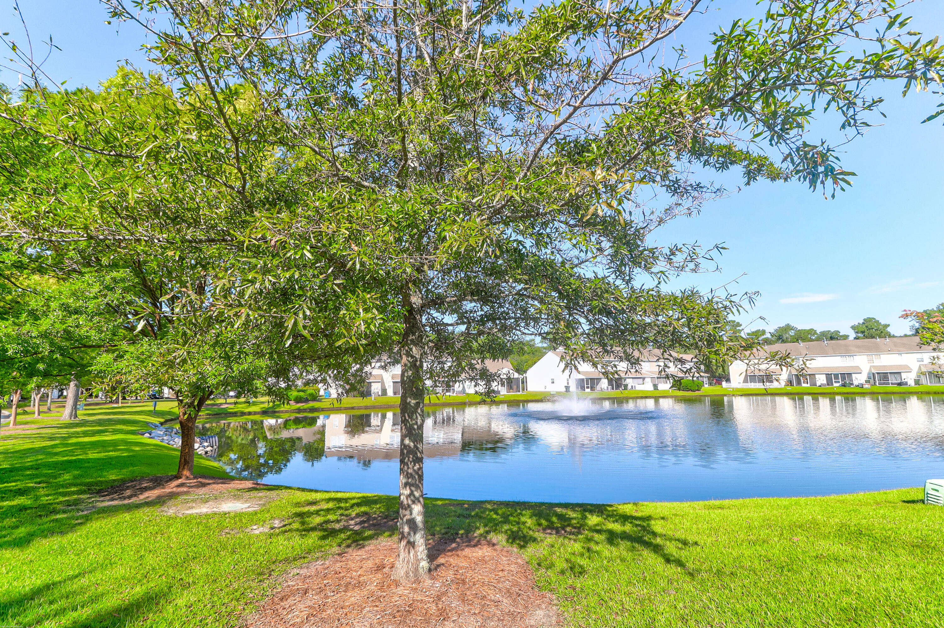 100 Yellow Hawthorn Circle