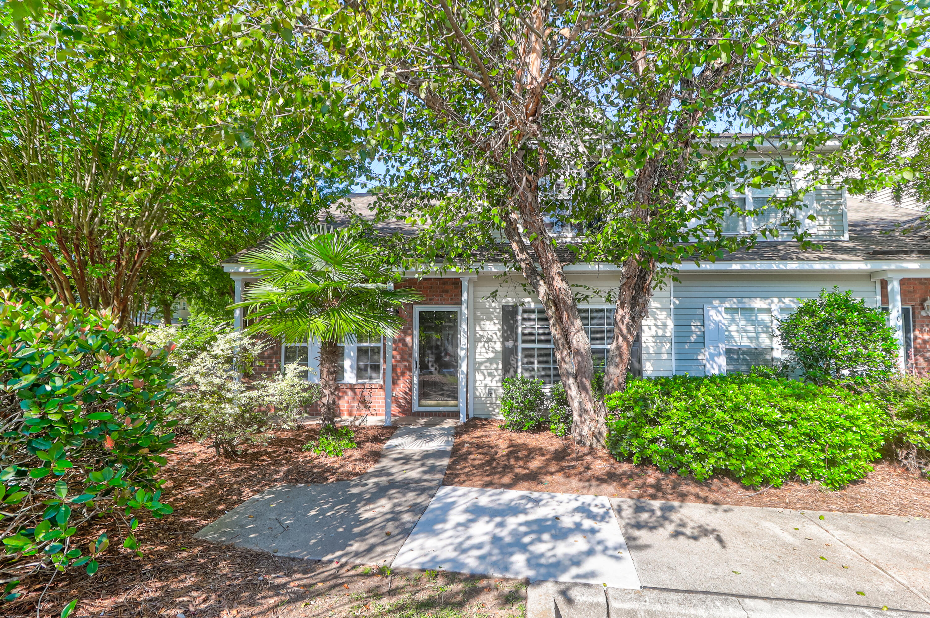 100 Yellow Hawthorn Circle