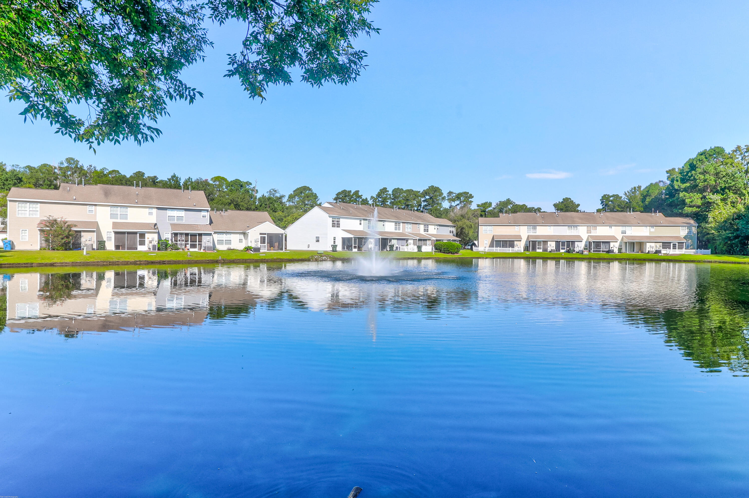 100 Yellow Hawthorn Circle