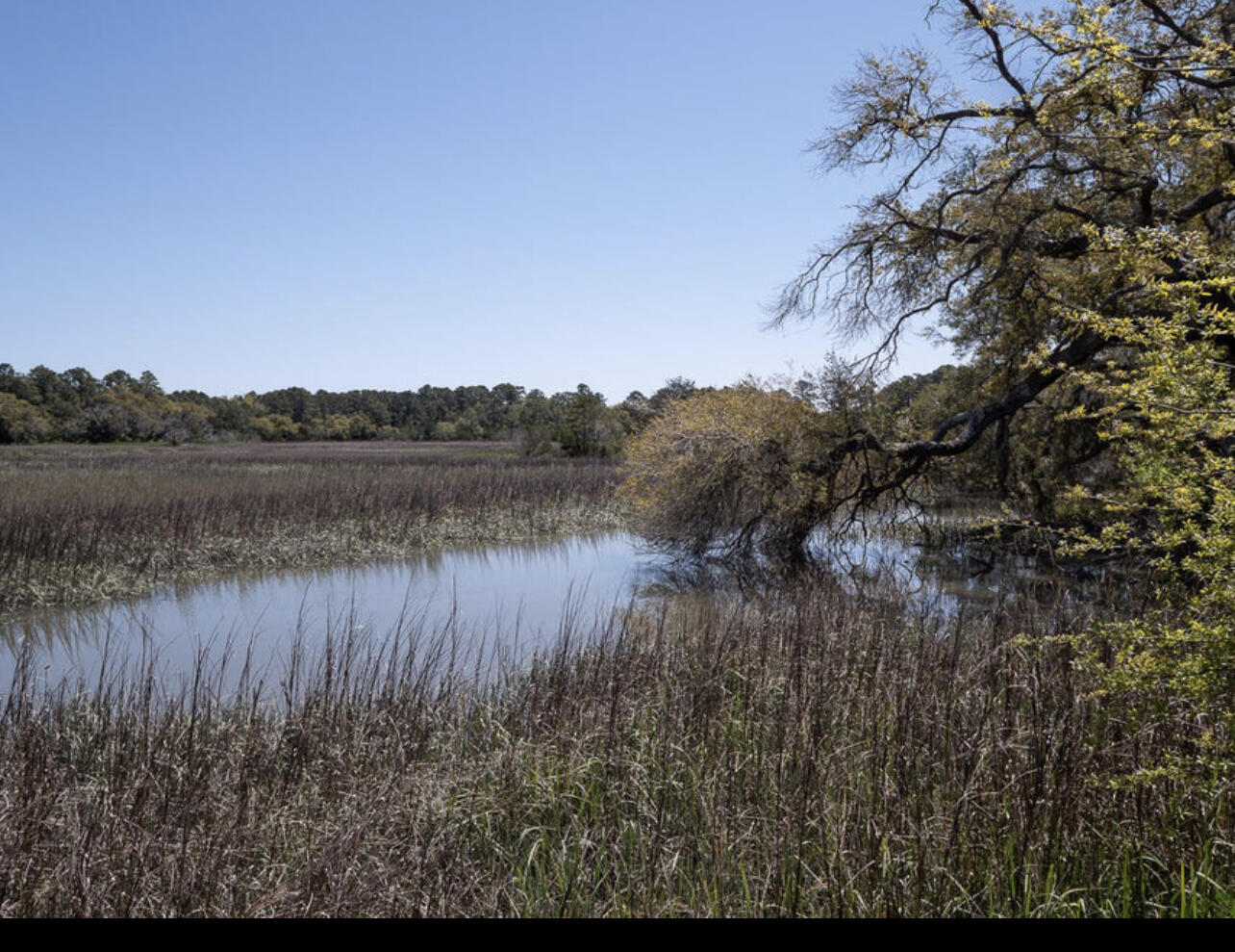 Lot 20 Hopkins Place Drive