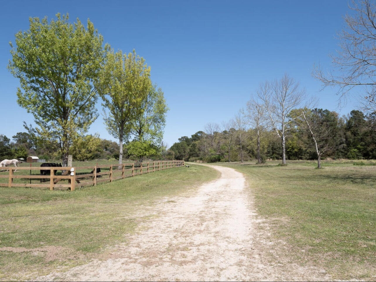 Lot 20 Hopkins Place Drive