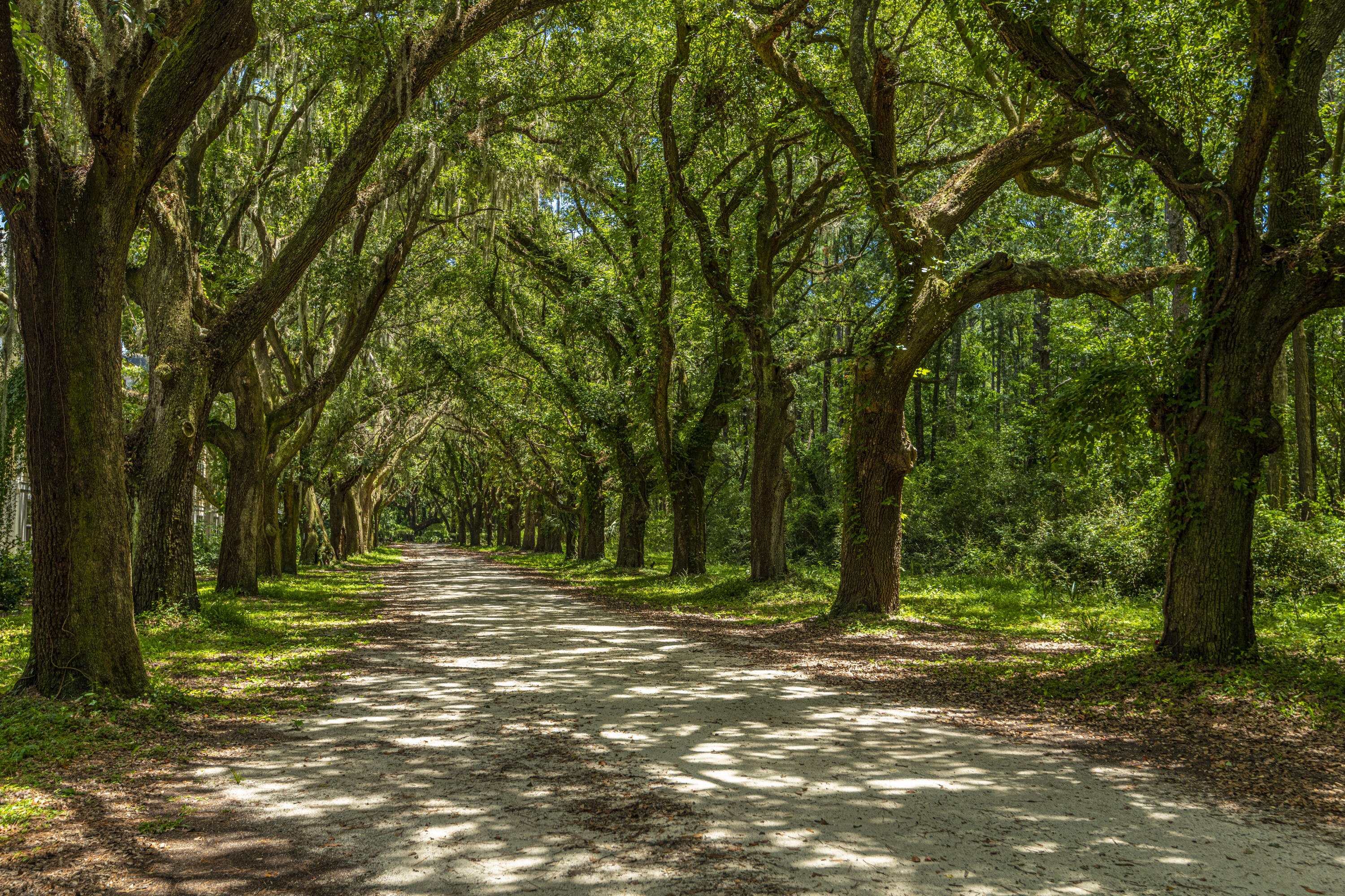 60 Fenwick Hall Allee # 327