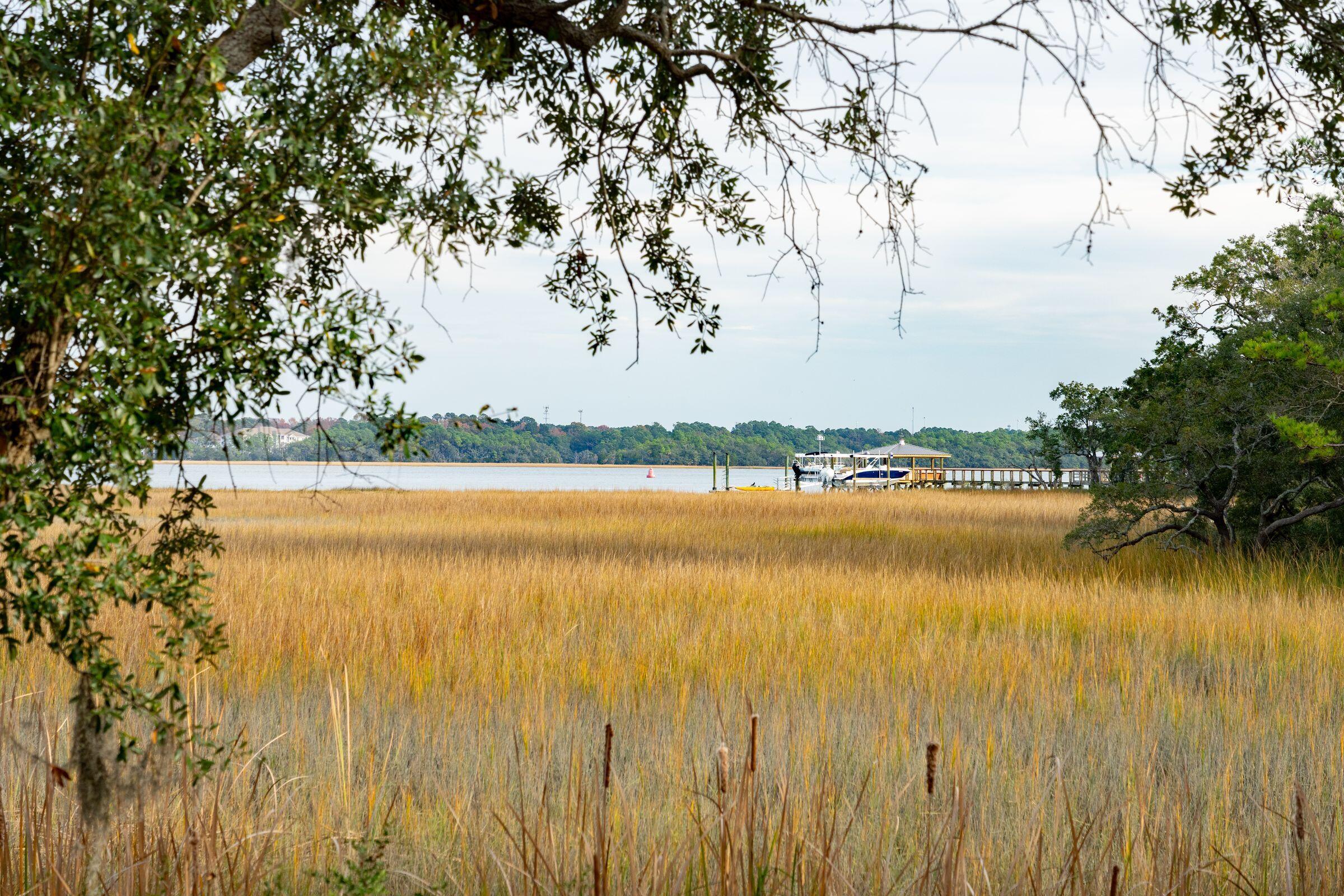 2514 Daniel Island Drive