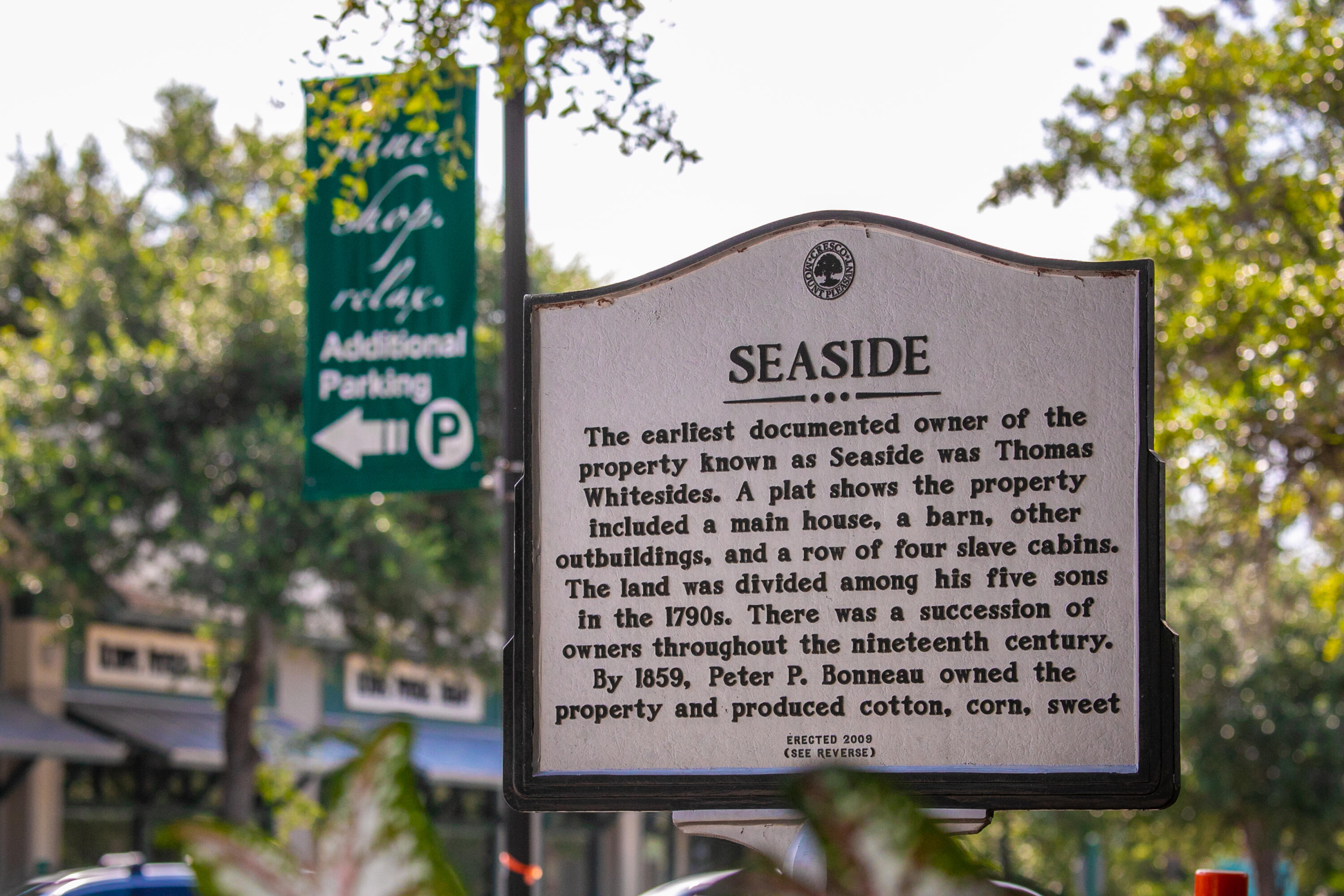 1600 Long Grove Drive # 1711